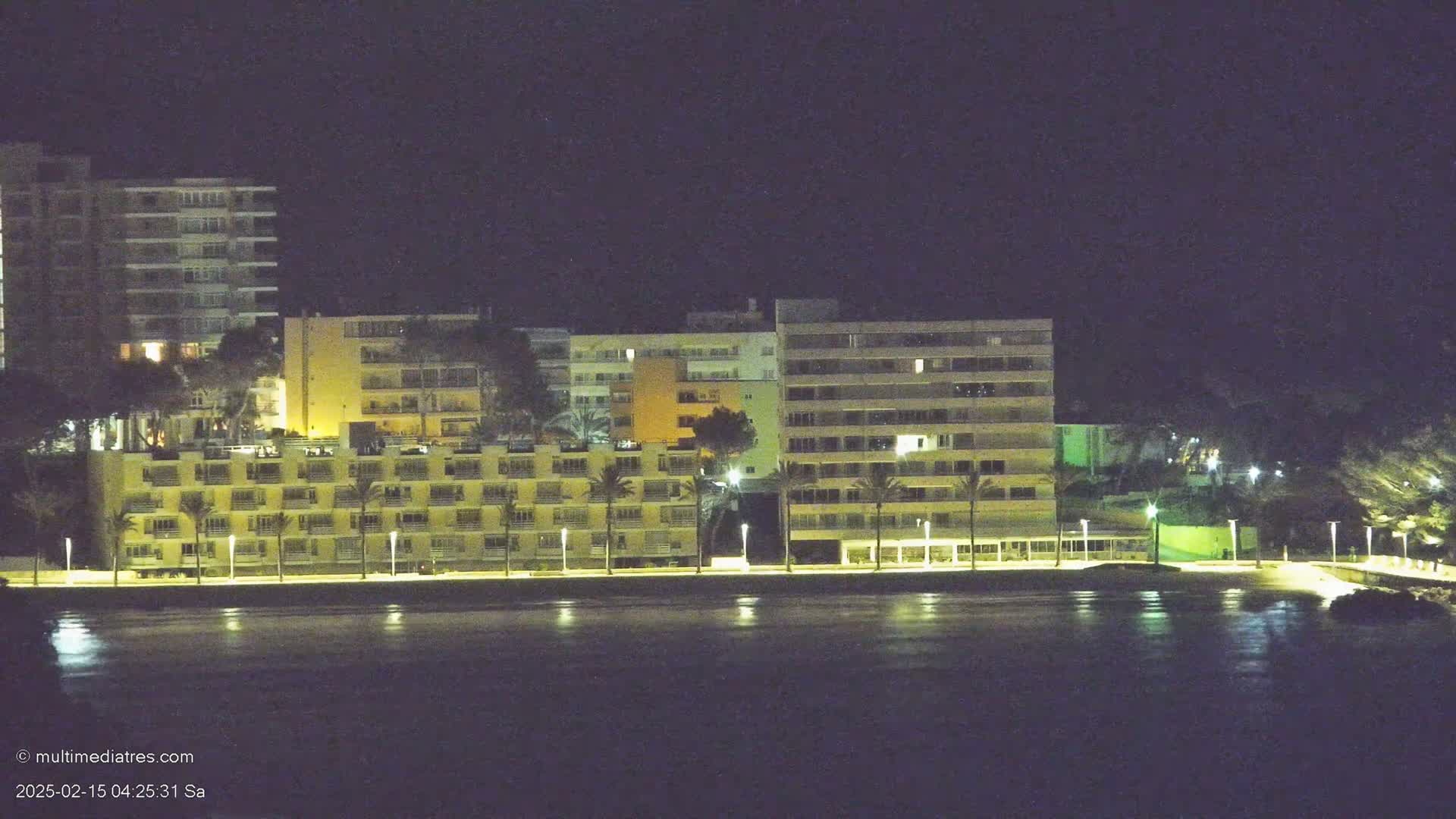 Lit-up apartment buildings and palm trees line a waterfront at night.