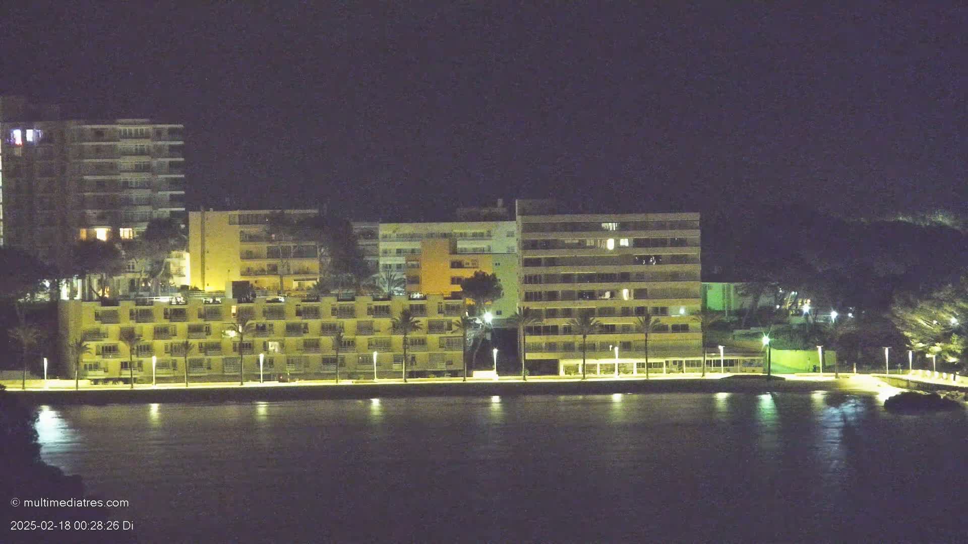 At night, illuminated multi-story buildings line a waterfront, palm trees dotting the area in front of them, with calm water reflecting the lights.