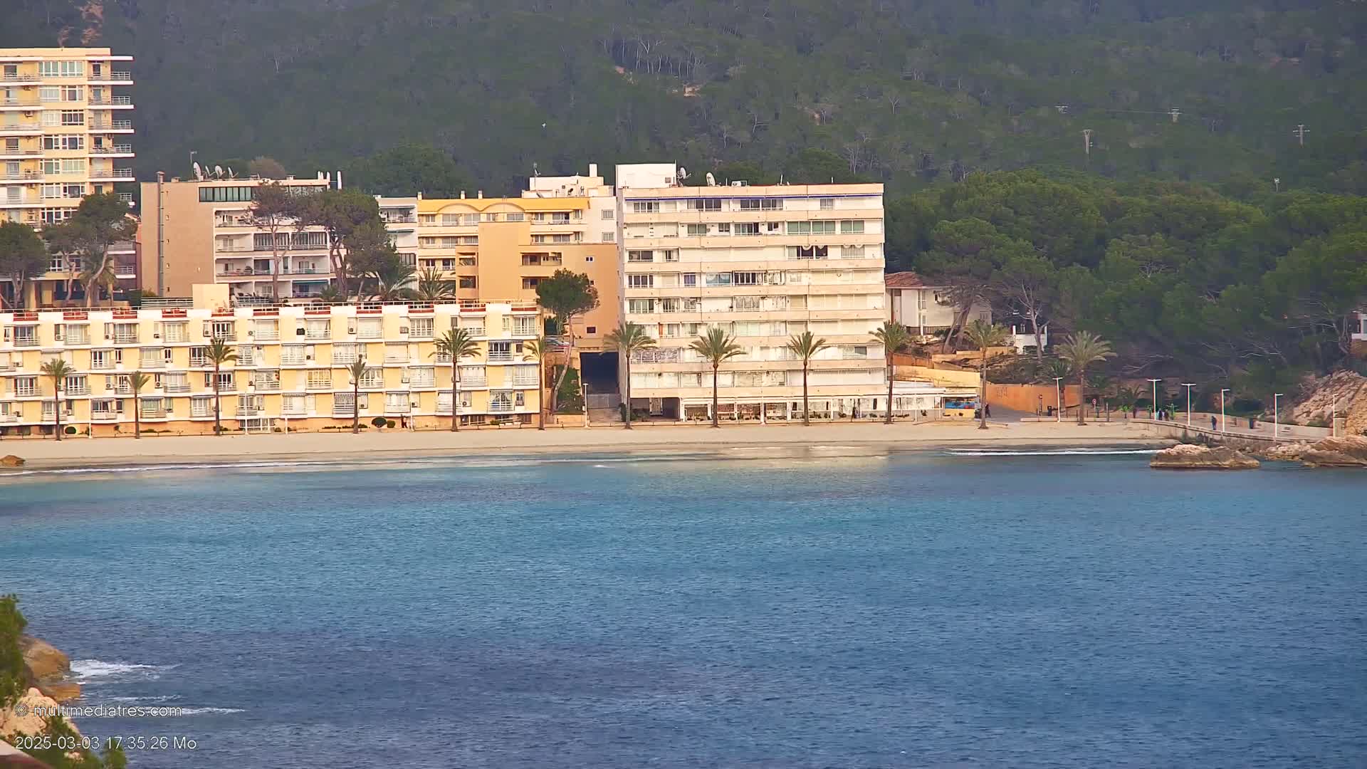 A beach with several multi-story buildings and palm trees is situated next to calm, blue water under a mostly clear sky.
