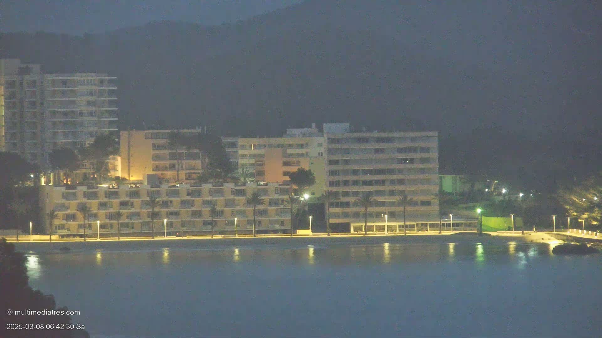 Several multi-story buildings with palm trees in front are situated along a calm, dark body of water at night.