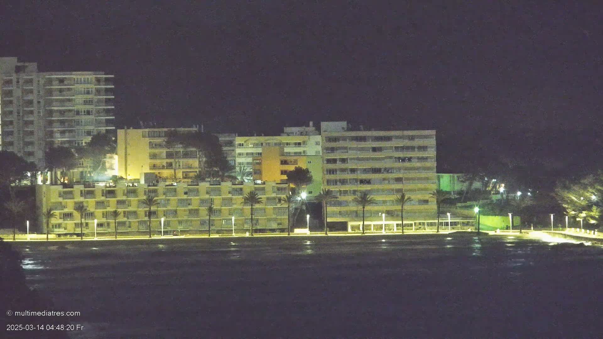 At night, several illuminated multi-story buildings line a waterfront, palm trees scattered in front, with dark water in the foreground.