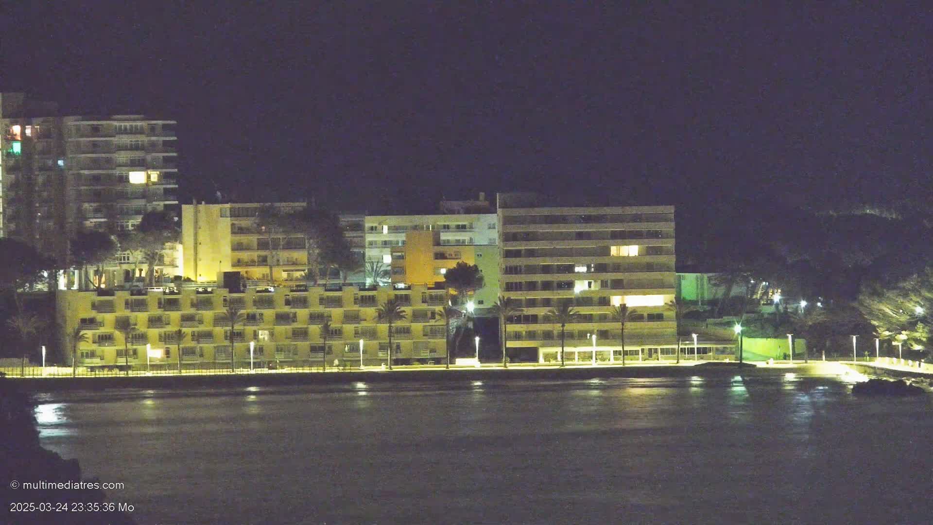 At night, several illuminated apartment buildings line a waterfront, palm trees dotting the area between the buildings and the dark water.