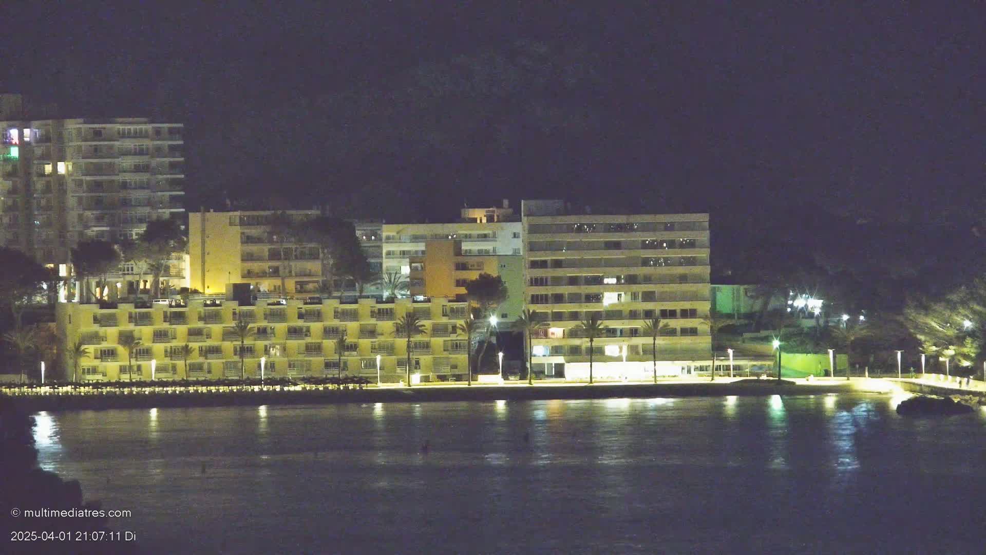 Illuminated buildings line a waterfront at night, with palm trees and calm water reflecting the lights.