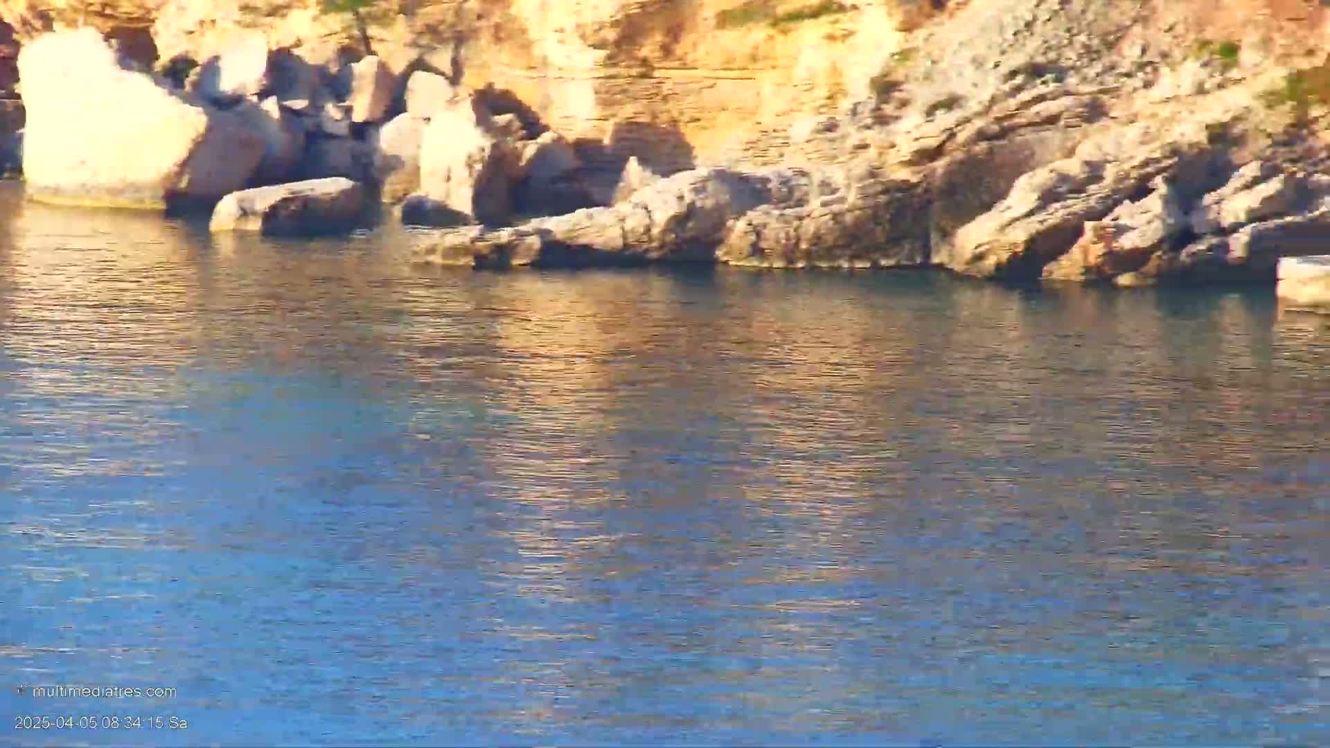 Calm, blue water reflects sunlight, lapping gently against a rocky shoreline of tan and gray stones.