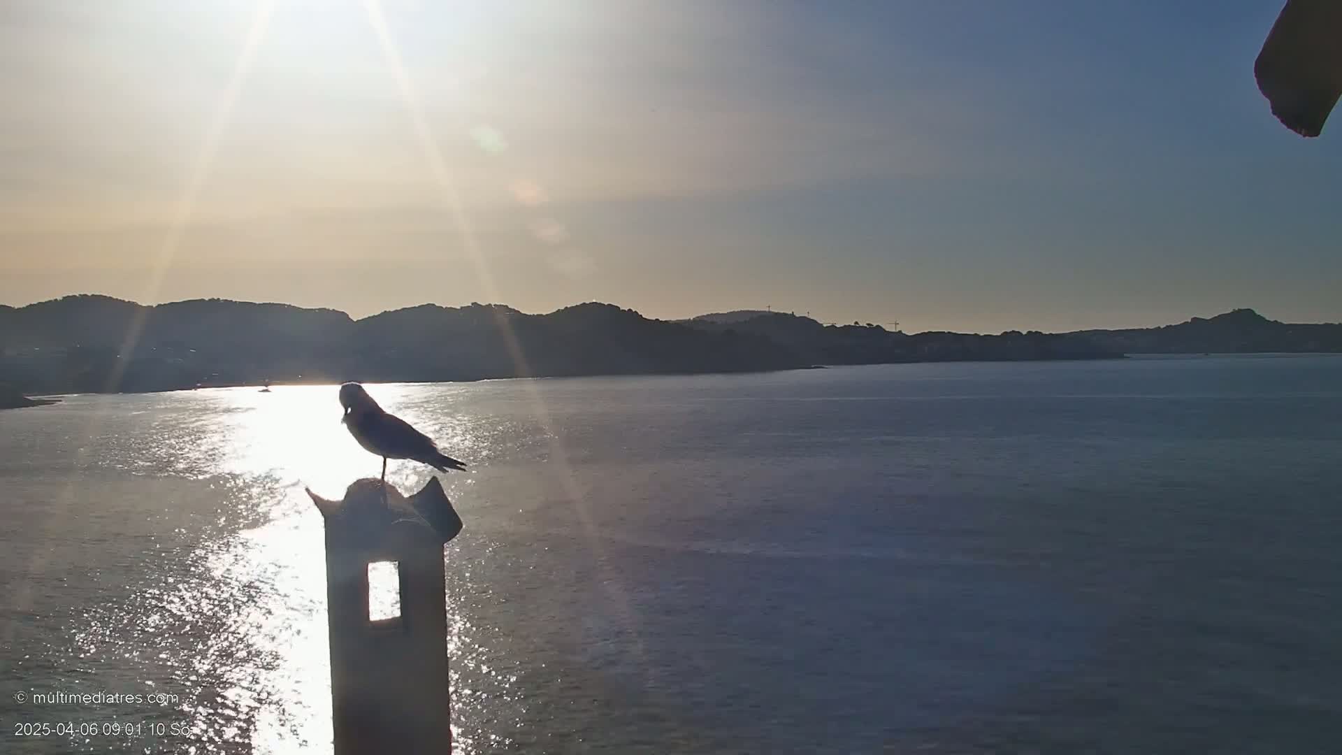 A seagull perches atop a stone structure overlooking a calm body of water with sunlit hills in the background under a bright, sunny sky.