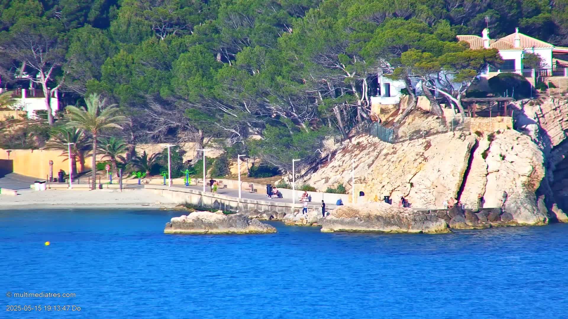 A rocky coast with a paved walkway, several people, and some palm trees overlooks a calm, blue body of water.