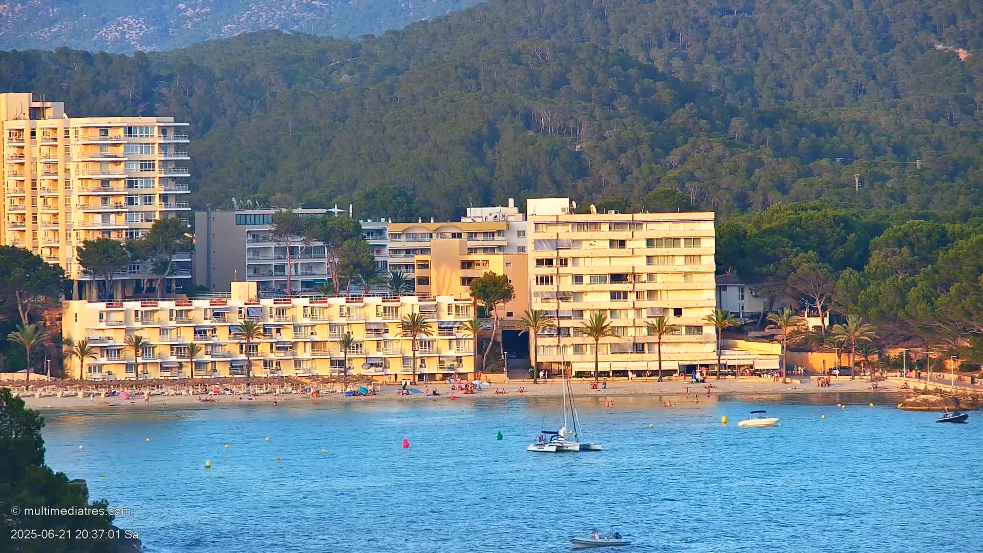 A sandy beach with several multi-story buildings behind it, palm trees scattered throughout, boats on calm blue water, and a hillside covered in lush green trees in the background under a clear sky.