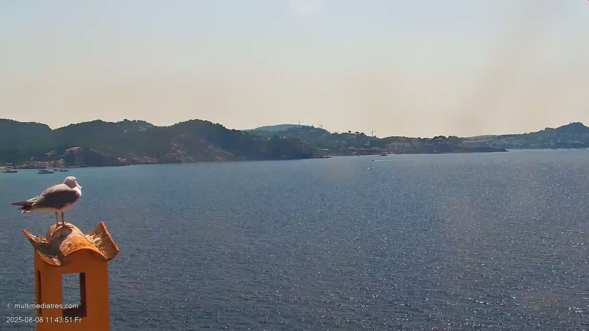 Paguera, Cala Fornells PTZ Live Cam - Mallorca, Balearic Islands, Spain