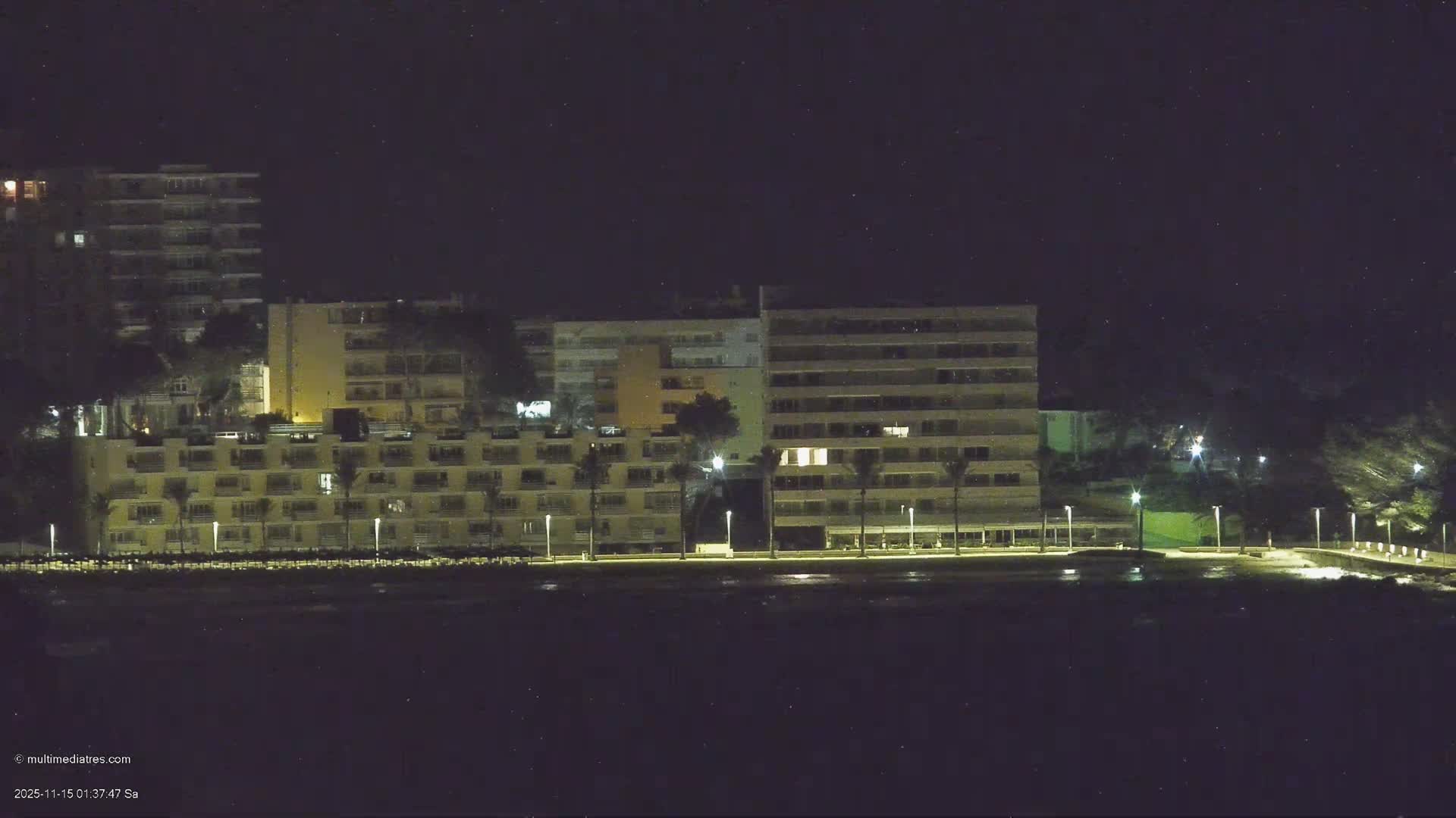 A clear night view reveals brightly lit multi-story buildings and palm trees lining a waterfront with streetlights, all under a dark, starry sky.