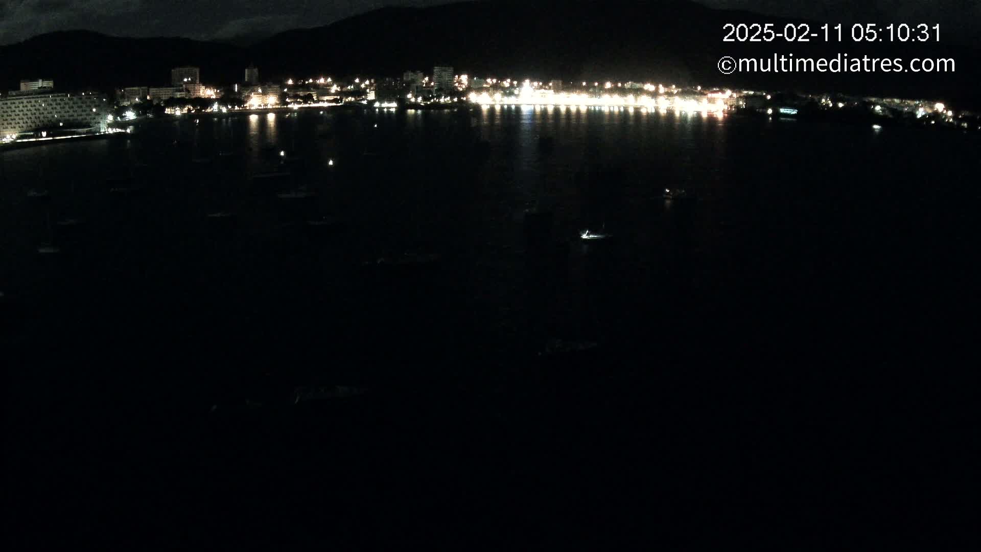 A nighttime view of a dark body of water with numerous small boats and a brightly lit city skyline in the background under a cloudy sky.