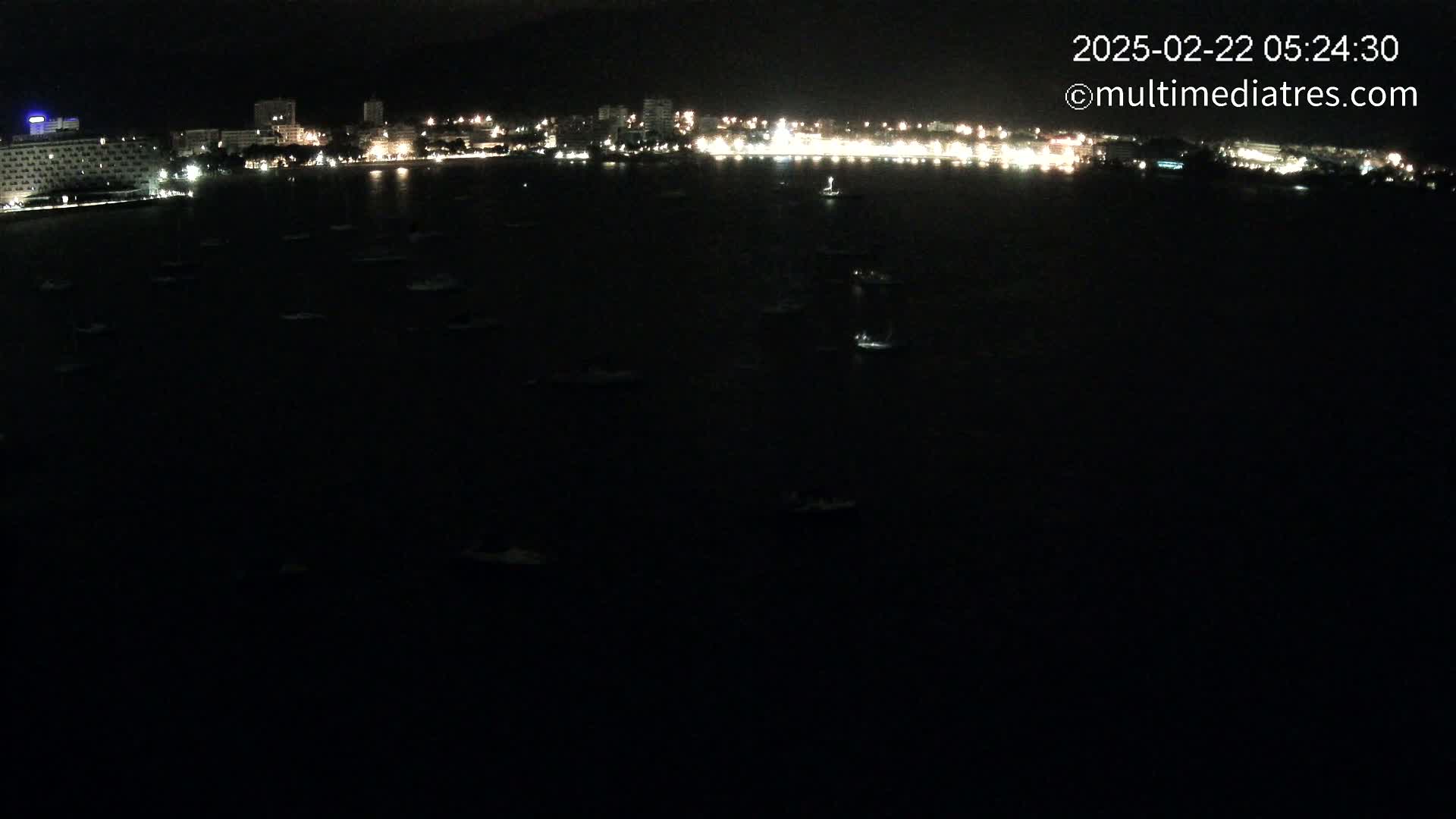 A nighttime view of a dark body of water with numerous small boats scattered across its surface, illuminated by the lights of a city on the shore in the distance.