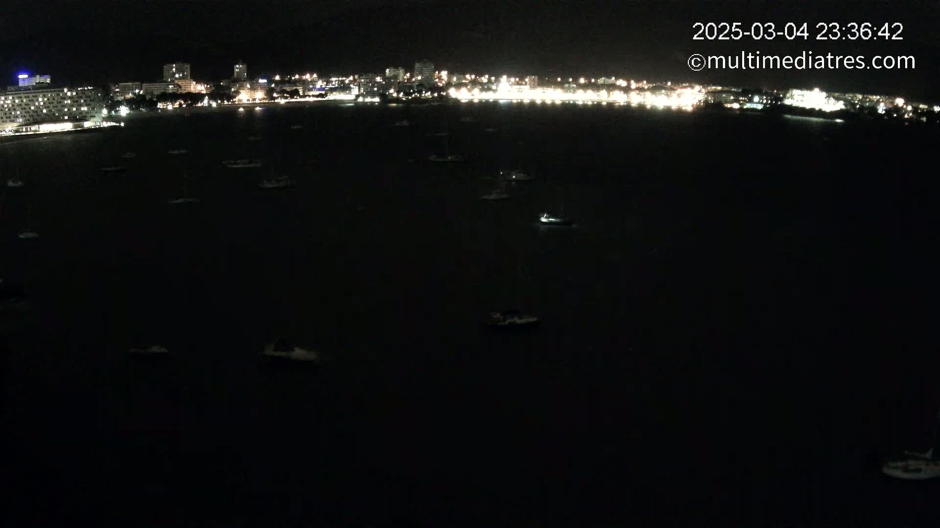 At night, numerous boats are scattered across a dark body of water in front of a brightly lit city skyline.