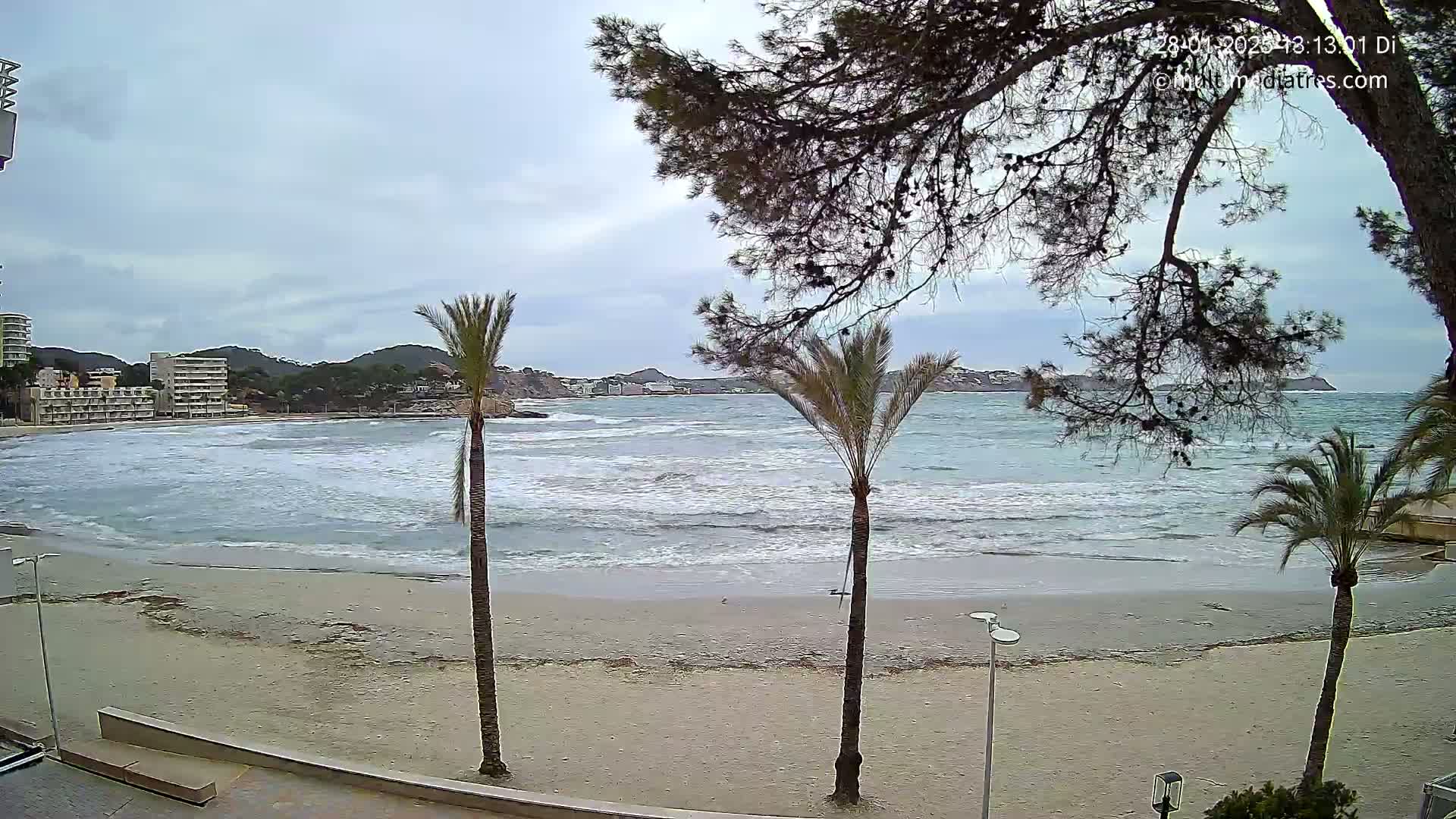 A sandy beach with choppy waves and several palm trees in the foreground, overlooks a calm bay with buildings and hills visible in the distance under a cloudy sky.