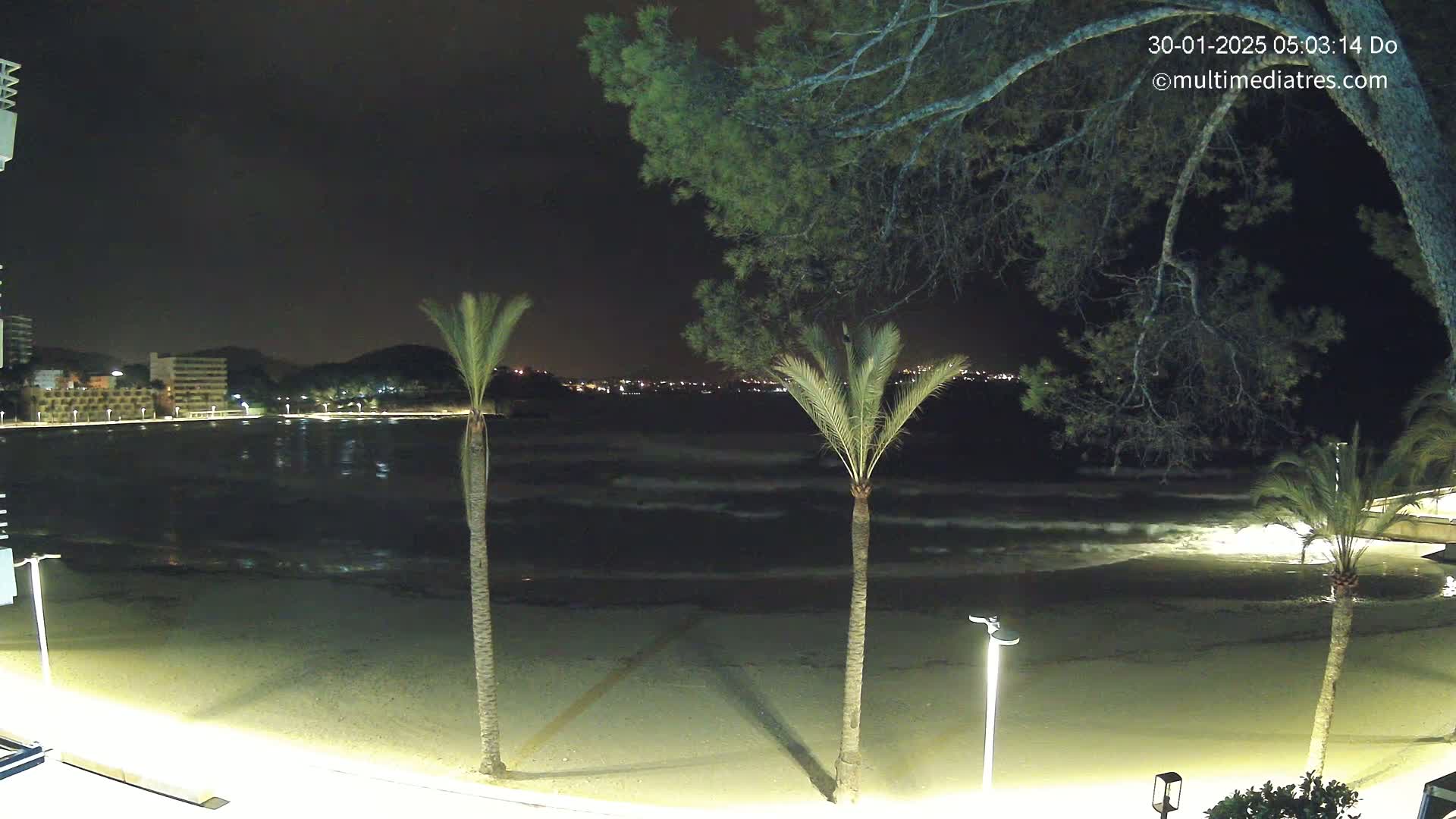 A nighttime view of a sandy beach with gentle waves lapping the shore, palm trees, and a dimly lit cityscape in the distance under a clear, dark sky.