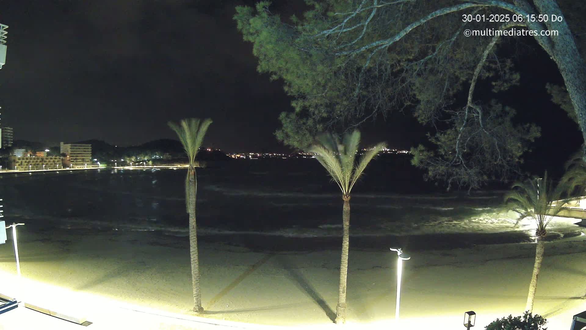 At night, a sandy beach with gently lapping waves is illuminated by artificial light, with palm trees in the foreground and a cityscape visible in the distance.