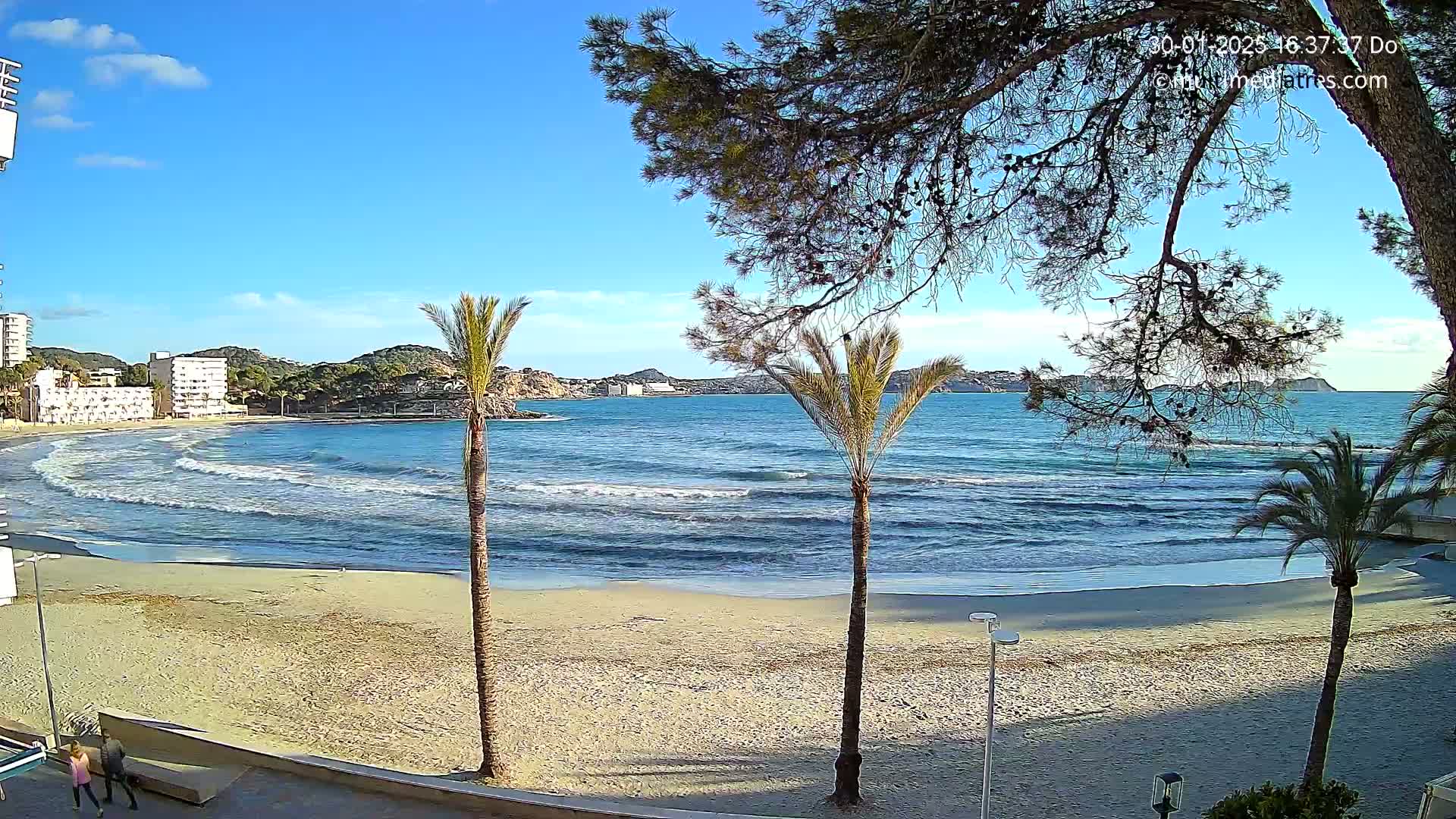 A sandy beach with gentle waves laps the shore under a clear blue sky, palm trees and buildings are visible in the background.