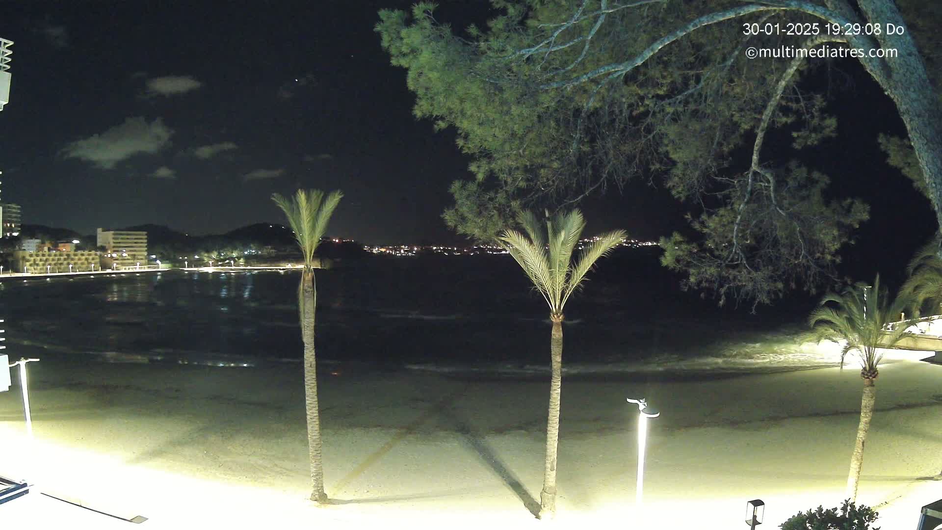 A nighttime beach scene shows a sandy shore with gentle waves lapping at the edge, three palm trees standing silhouetted against a dark, calm sea, with a city skyline glowing faintly in the distance under a slightly cloudy night sky.
