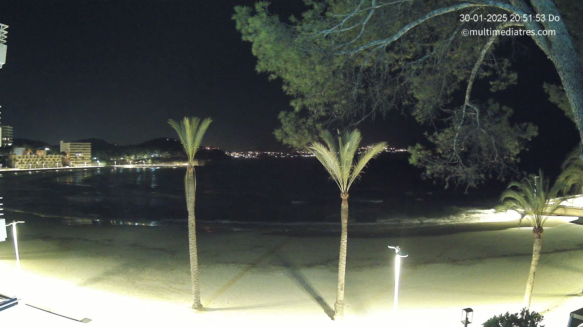 A nighttime view of a sandy beach with calm waves lapping the shore, three palm trees in the foreground, and a town's lights visible in the distance under a dark sky.
