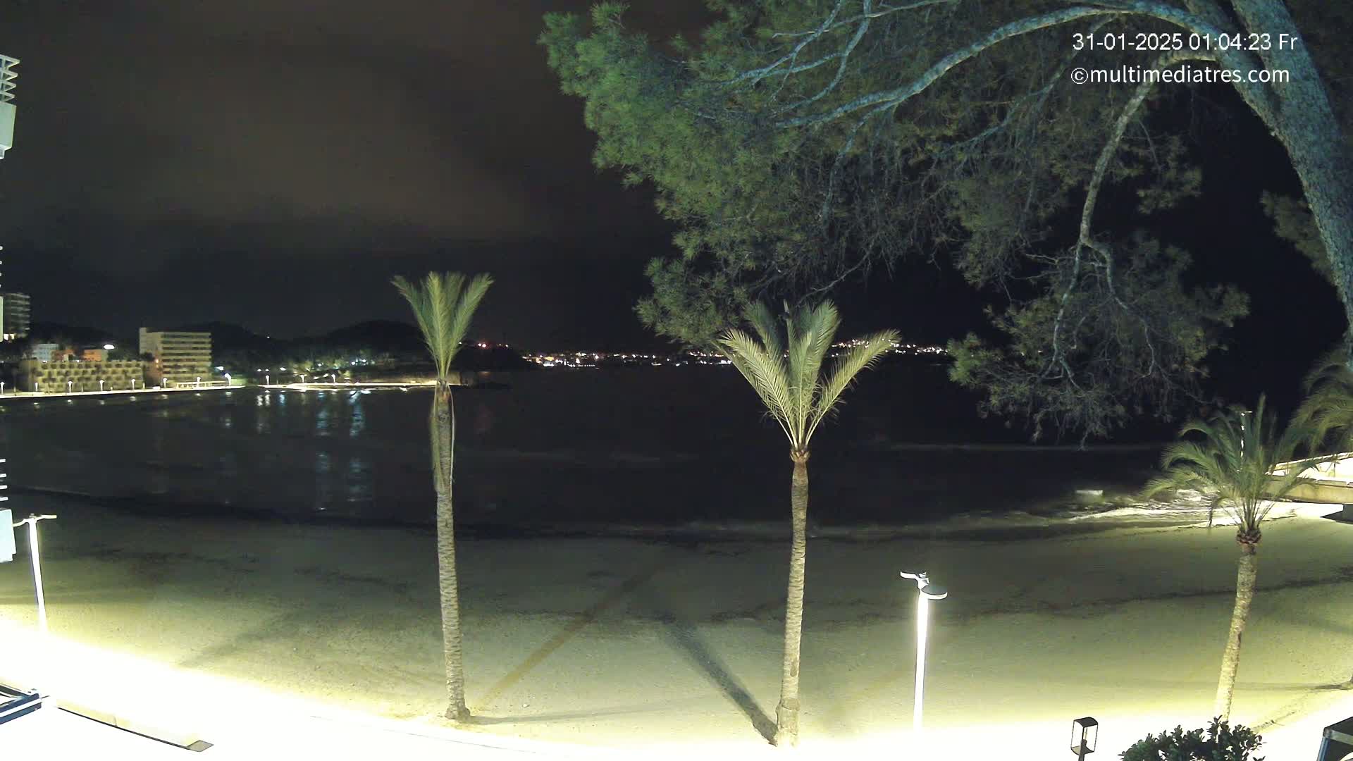 A nighttime view of a sandy beach with calm water, palm trees, and a dimly lit cityscape in the background.