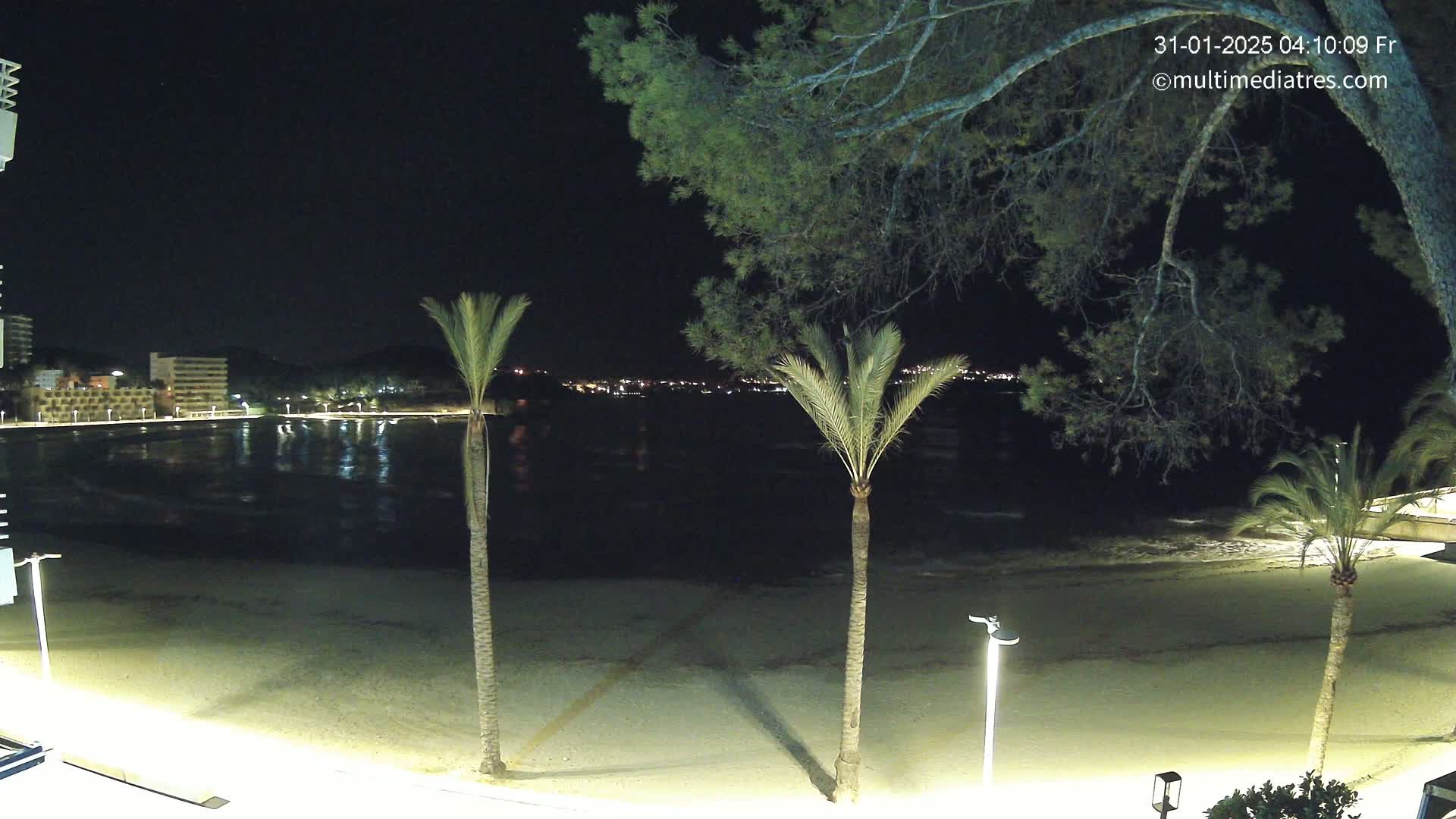 A nighttime view of a sandy beach with palm trees, calm water, and a distant city skyline illuminated with lights.