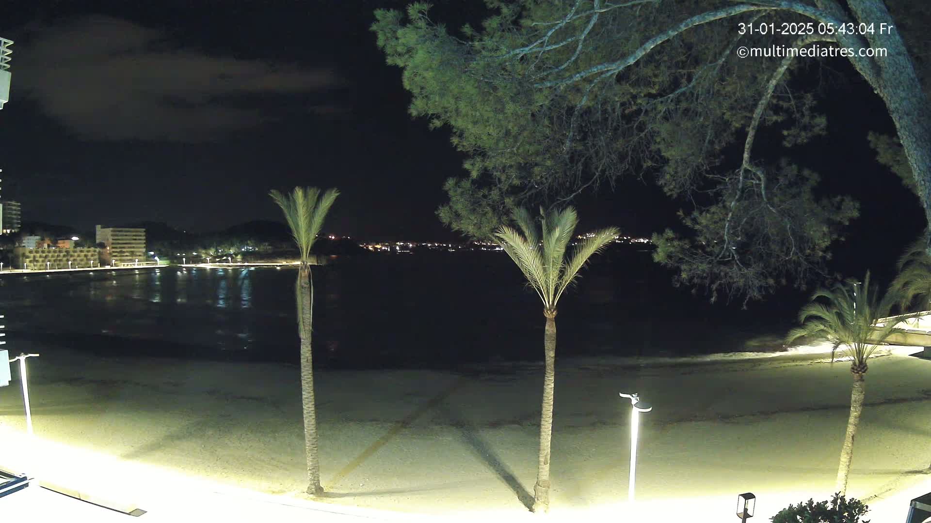 A nighttime view of a calm, sandy beach bordered by palm trees and illuminated buildings across the water under a partly cloudy sky.