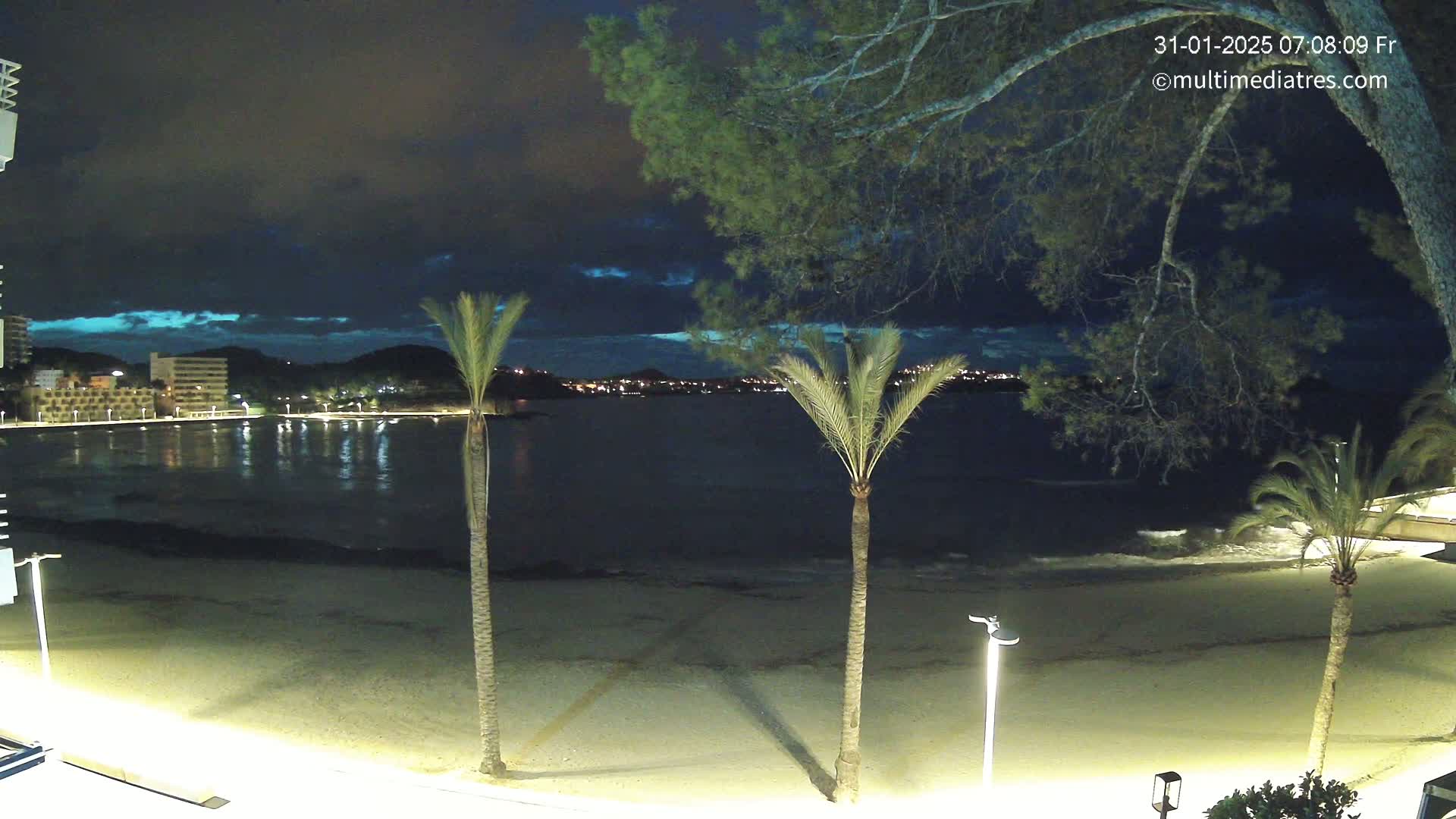 A nighttime view of a beach with palm trees, calm waves, and a town with lights across the water under a partly cloudy sky.