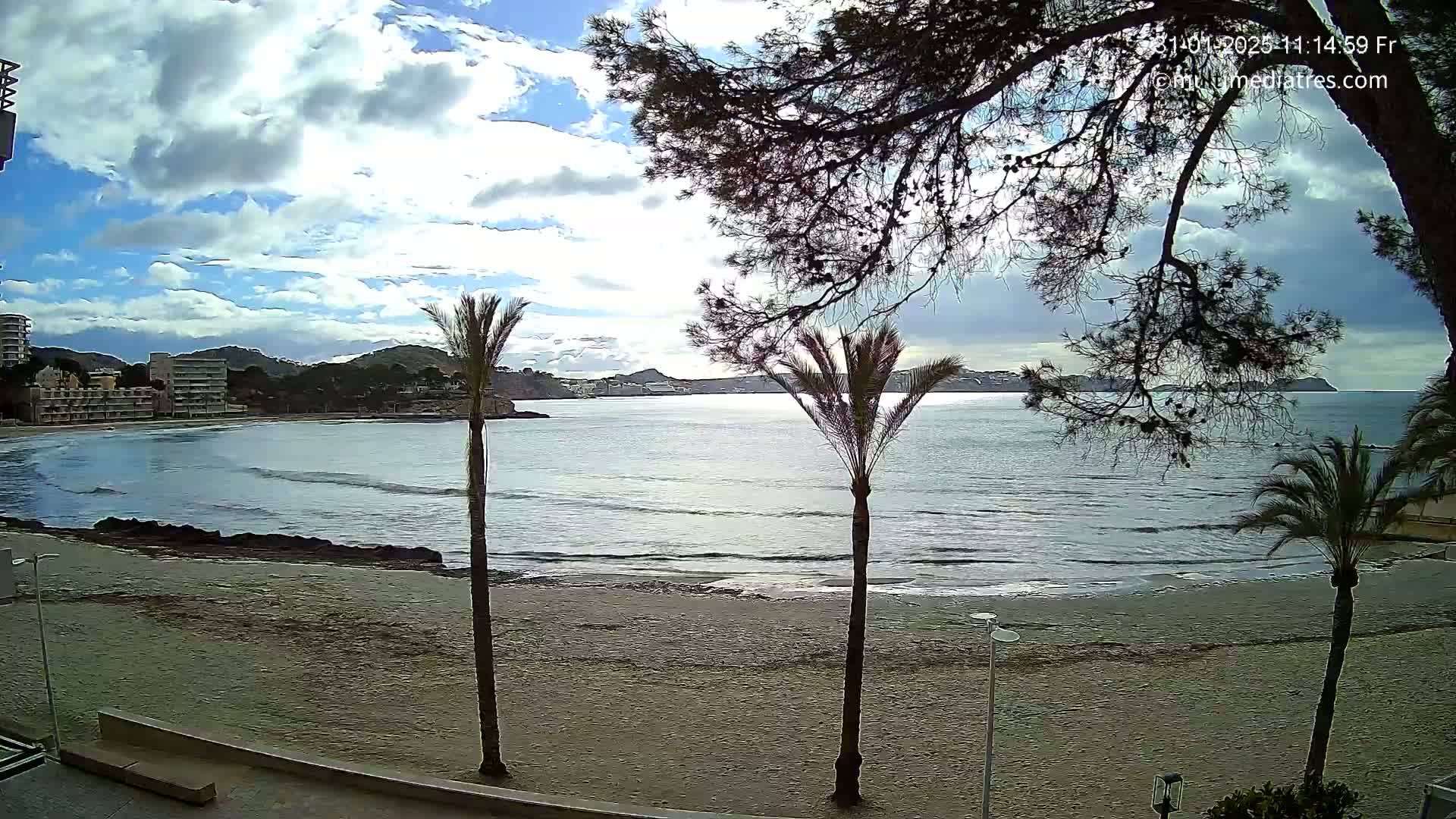 A partly cloudy day reveals a sandy beach with gentle waves lapping the shore, palm trees lining the sand, and buildings in the distance.