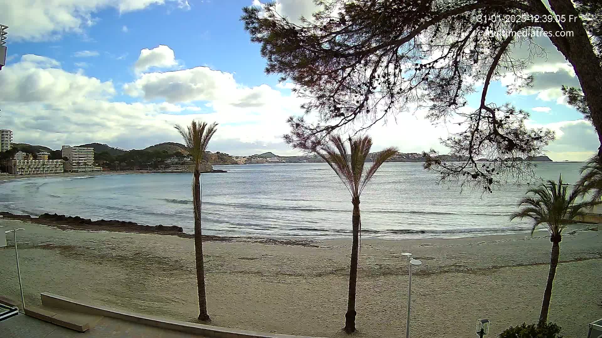 A partly cloudy day shows a sandy beach with gentle waves lapping the shore, palm trees, and buildings in the background.