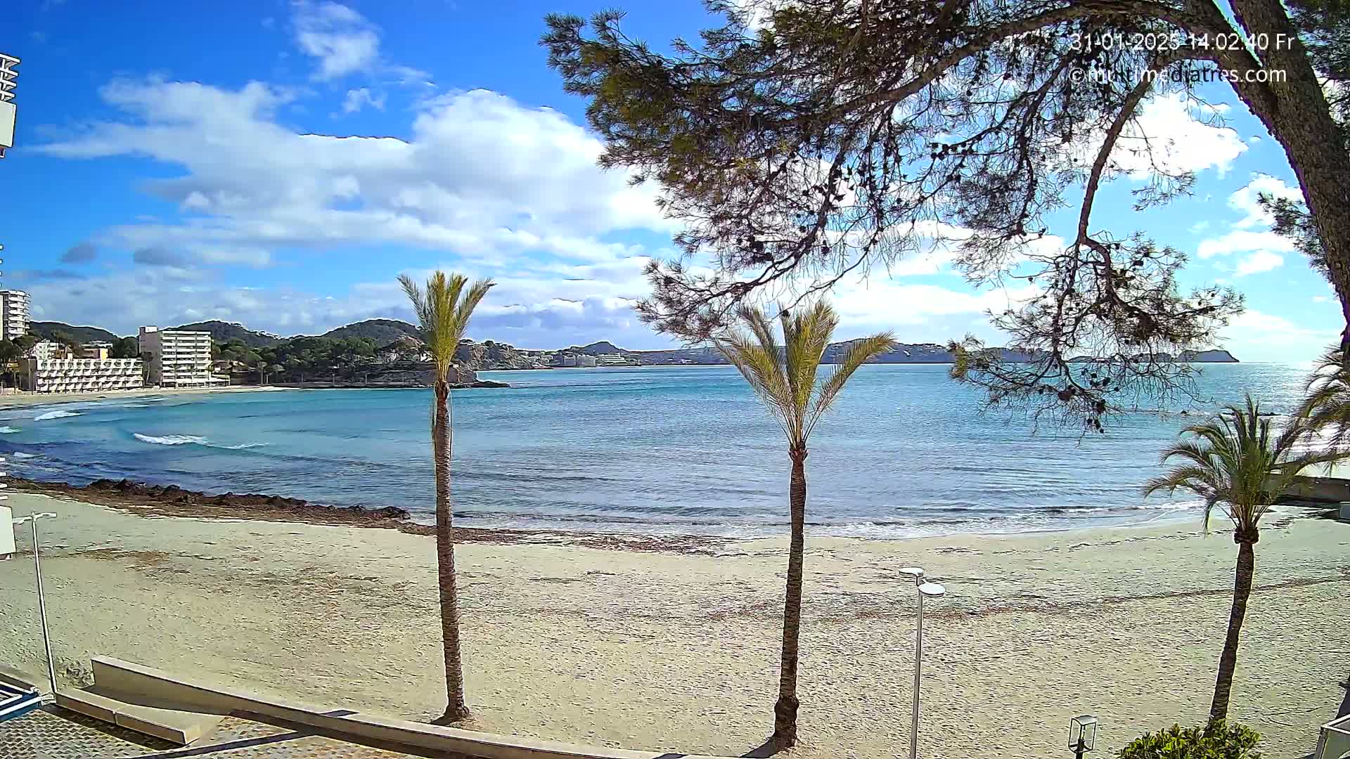 A sandy beach with calm, blue water, palm trees, and hotels in the background under a partly cloudy sky.