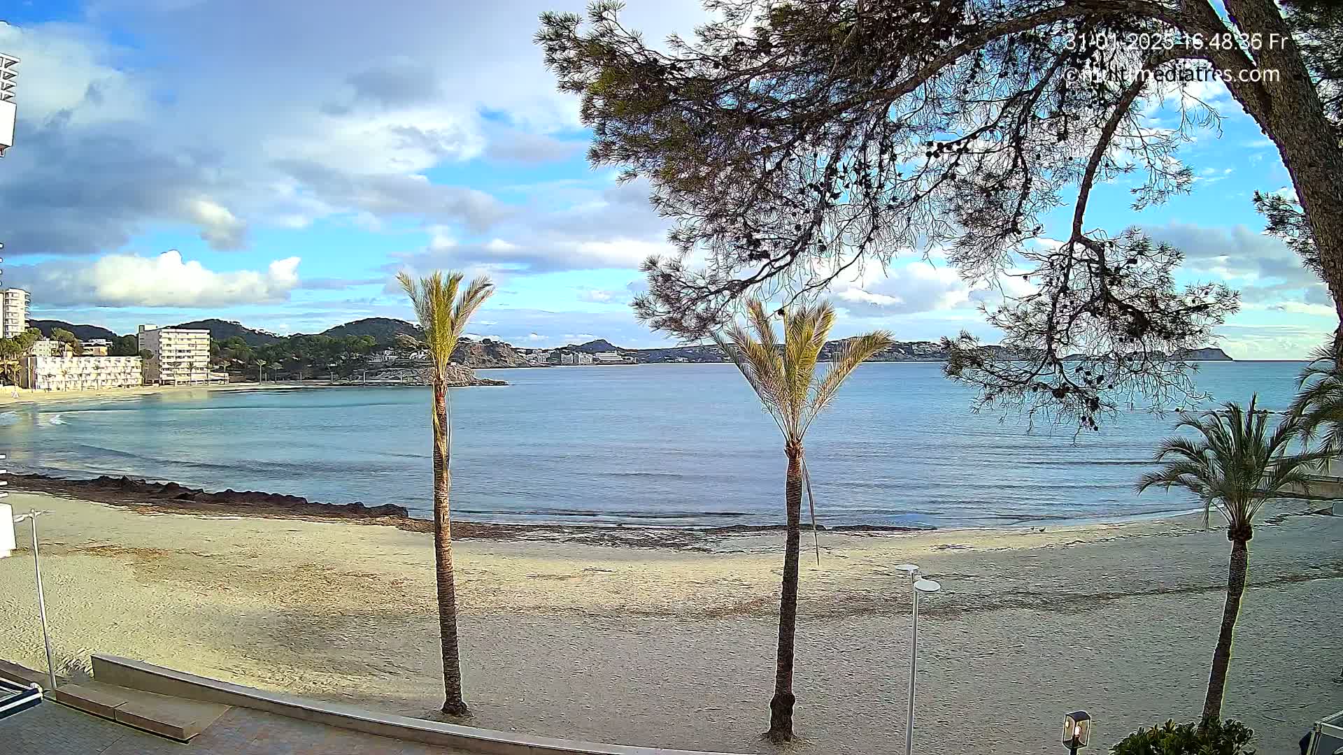 A partly cloudy day reveals a sandy beach, calm ocean water, and palm trees framing a view of distant buildings and hills.