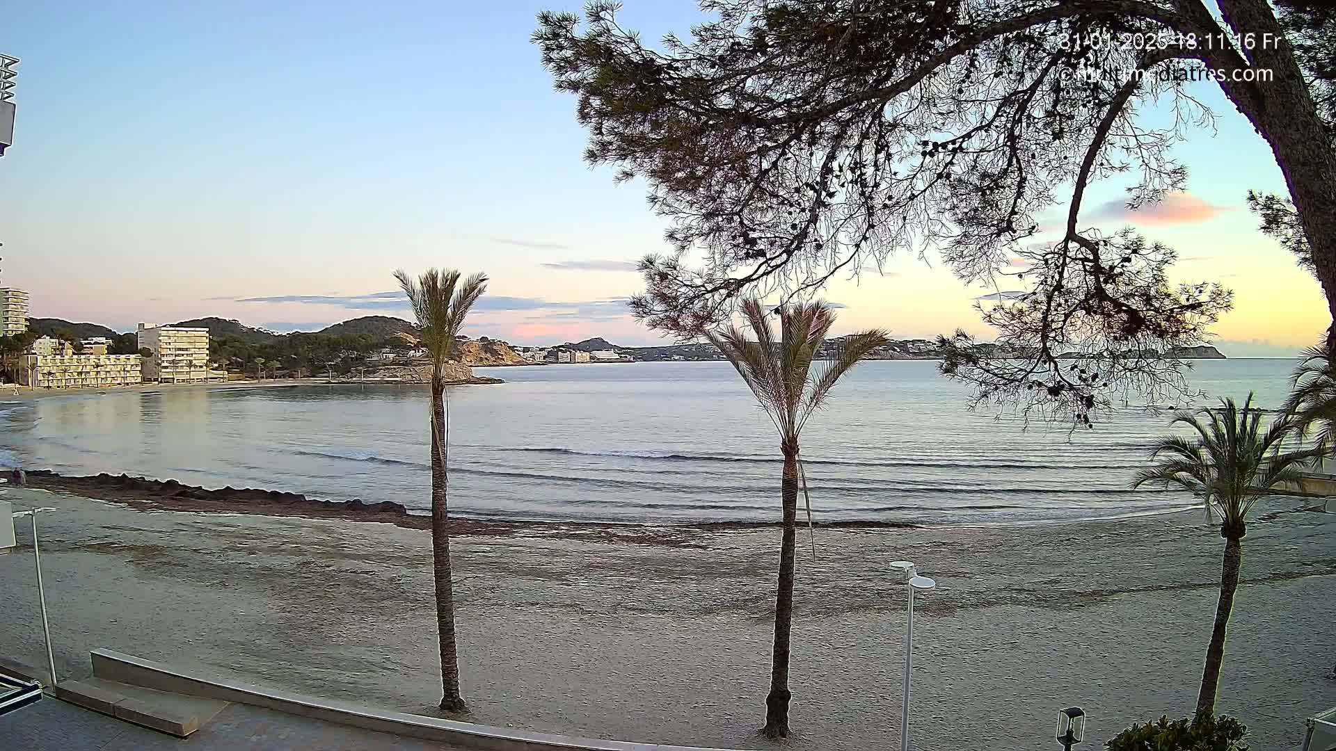A sandy beach with calm waves, palm trees, and buildings in the background under a clear, pale sunrise sky.