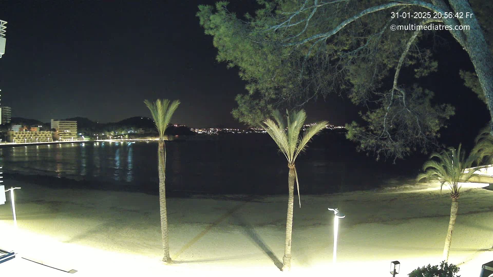 A nighttime view of a calm beach with palm trees and a town illuminated in the distance under a clear, dark sky.
