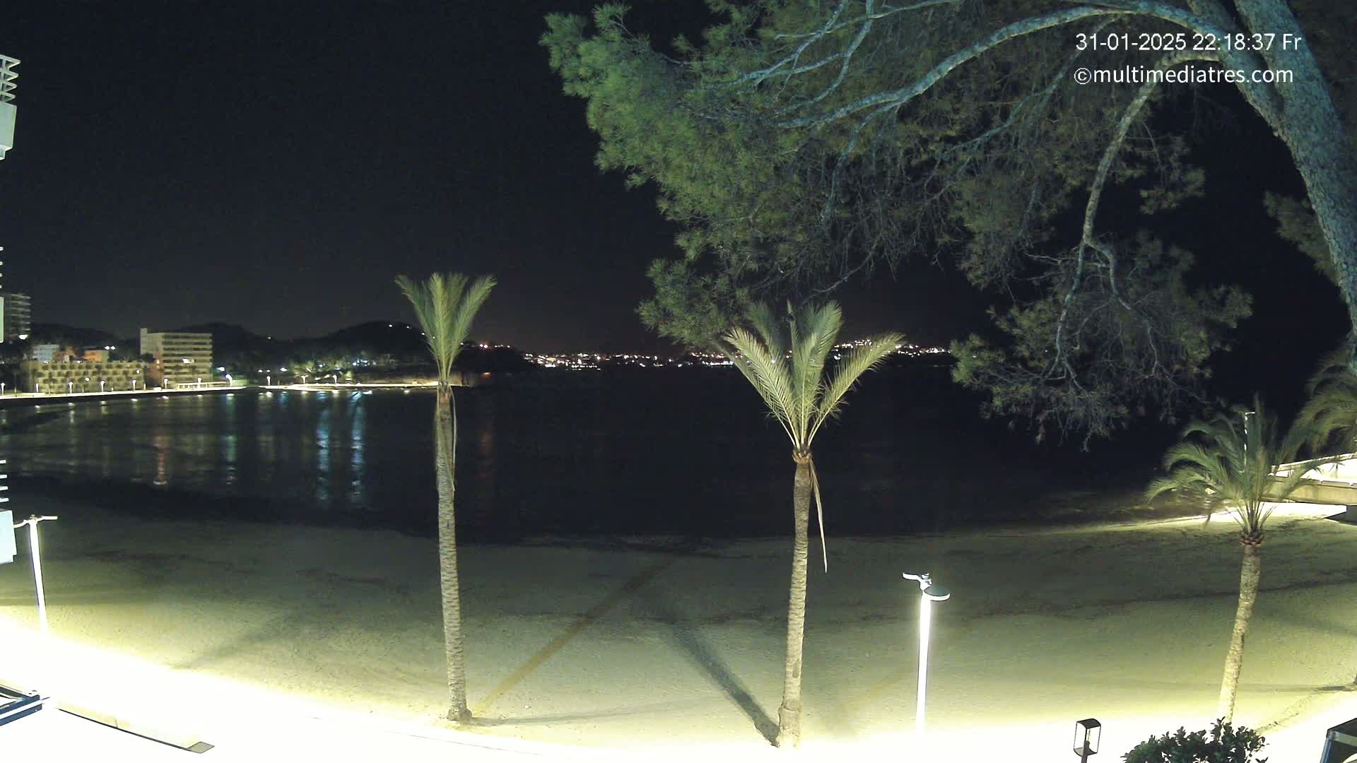 A nighttime view of a calm, sandy beach with palm trees and a town's lights visible across the water.
