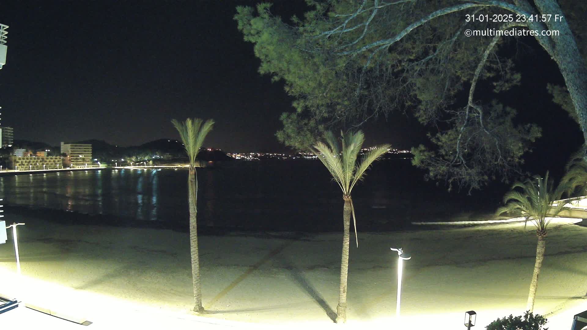 A nighttime view of a sandy beach with palm trees and calm water, showing a town with lights across the water under a clear, dark sky.