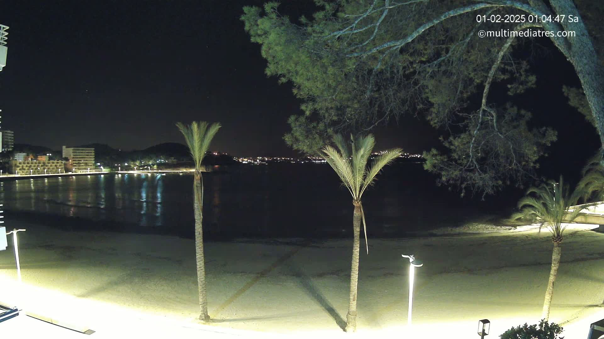 A nighttime view of a sandy beach with palm trees, calm water reflecting lights from buildings across the bay under a clear, dark sky.