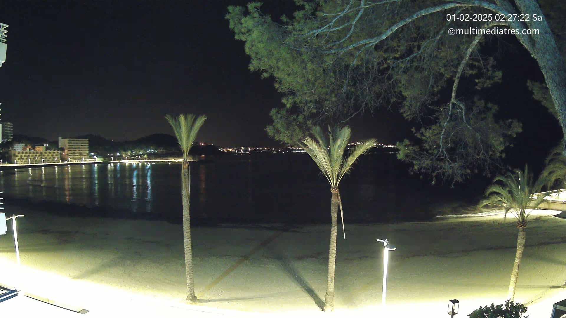 A nighttime view of a calm, dark-water bay, a sandy beach, and palm trees, with a town illuminated in the distance.