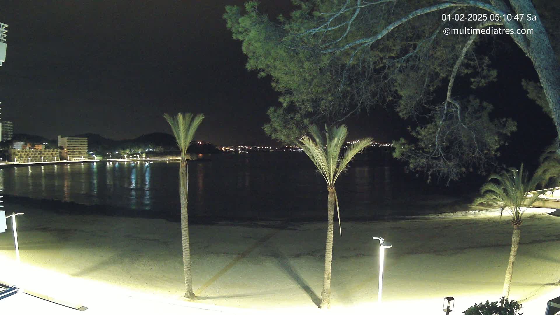 A nighttime beach scene shows a calm body of water reflecting lights from buildings across the water, with palm trees and a few lights illuminating the sandy beach in the foreground.