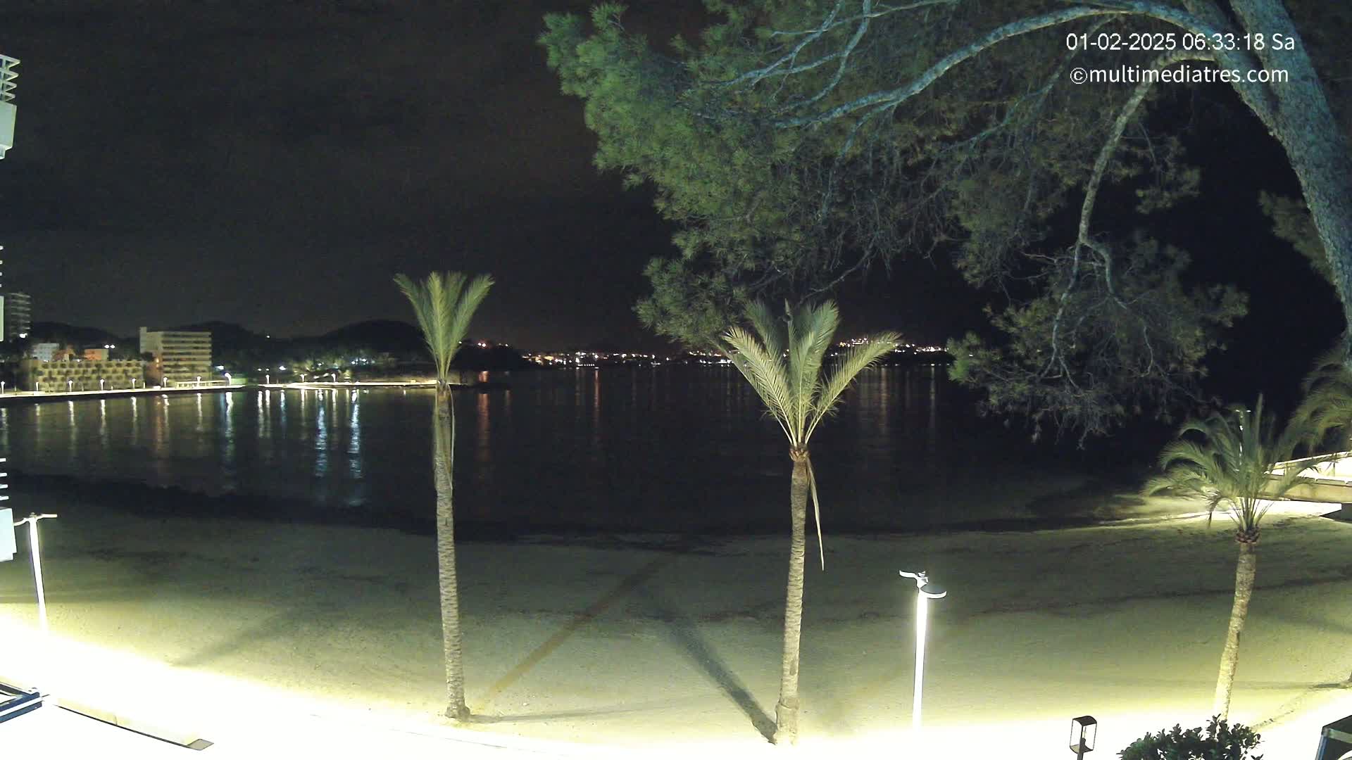 A nighttime view of a calm, dark-water bay with a sandy beach, palm trees, and buildings with lights visible across the water under a clear, dark sky.