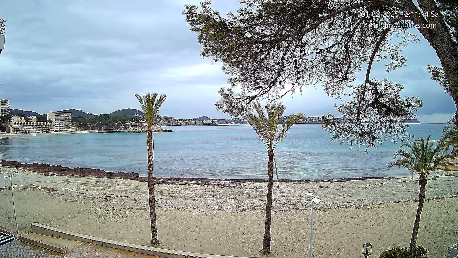 A sandy beach with palm trees, calm turquoise water, and buildings in the background under an overcast sky.