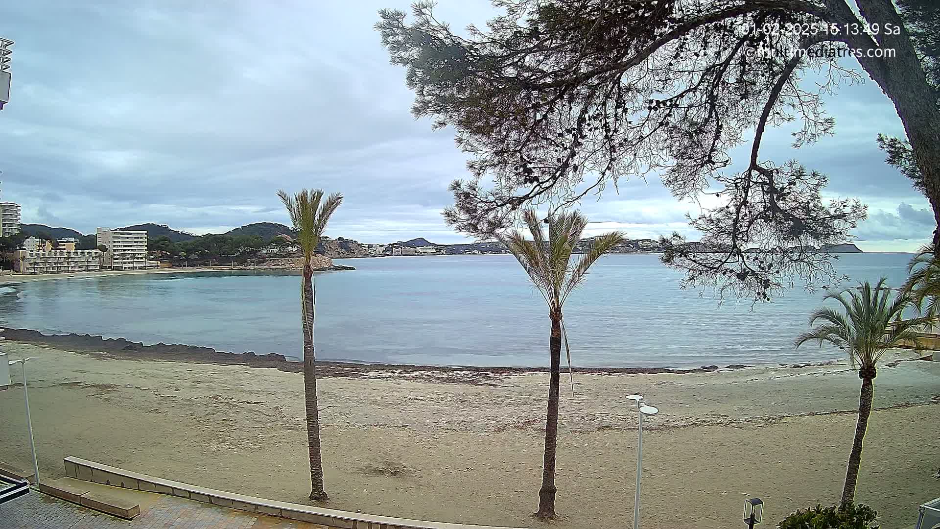 A sandy beach with palm trees and calm, light-blue water under a cloudy sky overlooks buildings and hills in the distance.
