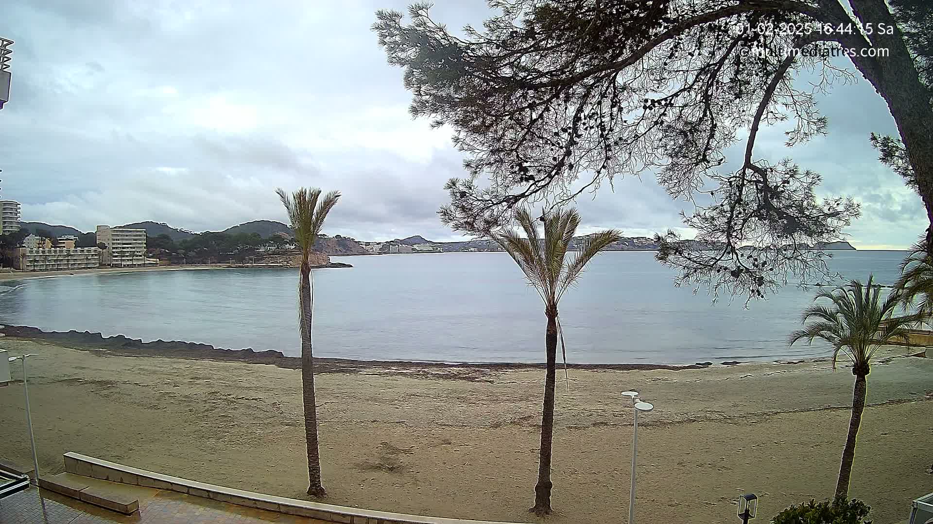 A sandy beach with palm trees and buildings in the background is viewed under an overcast sky.