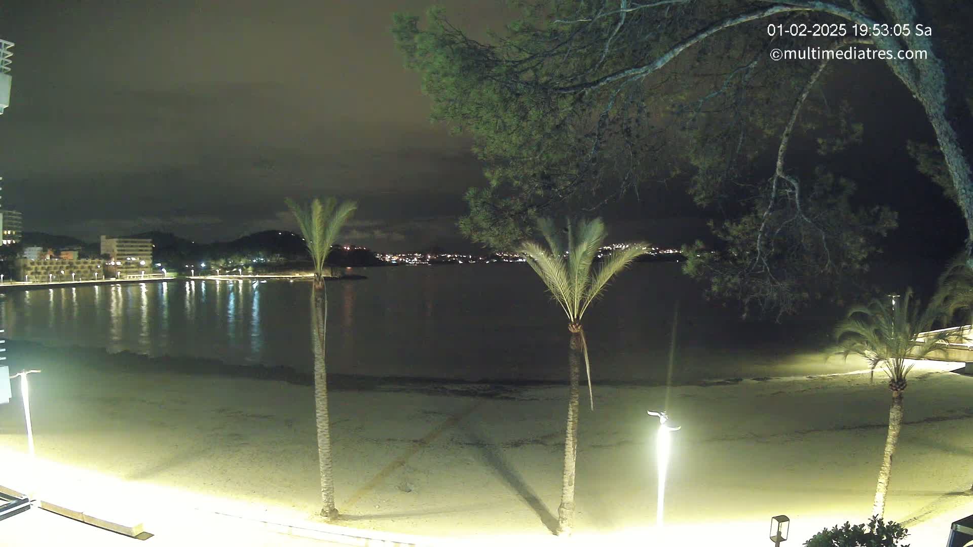 A nighttime view of a calm, dark-water bay with a sandy beach, palm trees, and a city skyline illuminated in the distance under a cloudy sky.