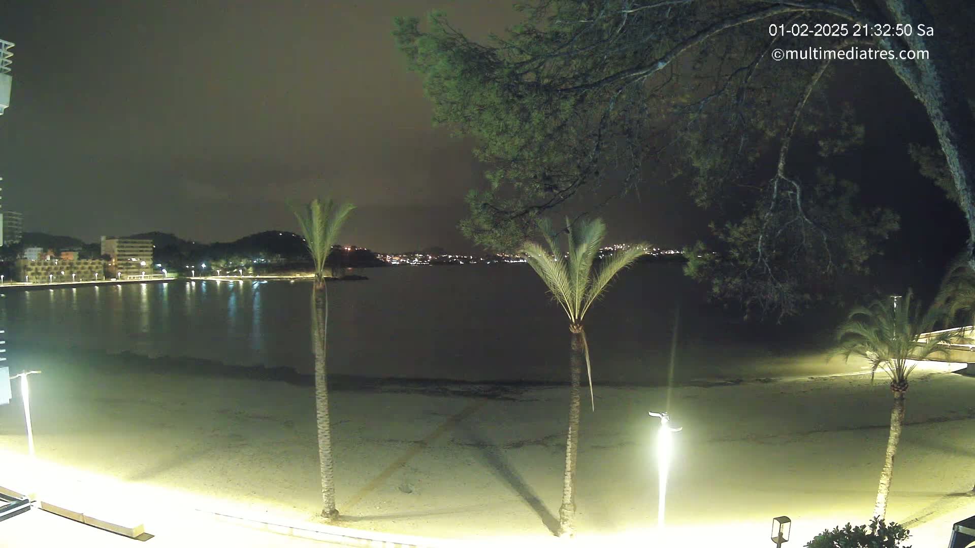 A nighttime view of a calm, sandy beach illuminated by streetlights, with palm trees in the foreground and a town's lights visible across the water in the background.