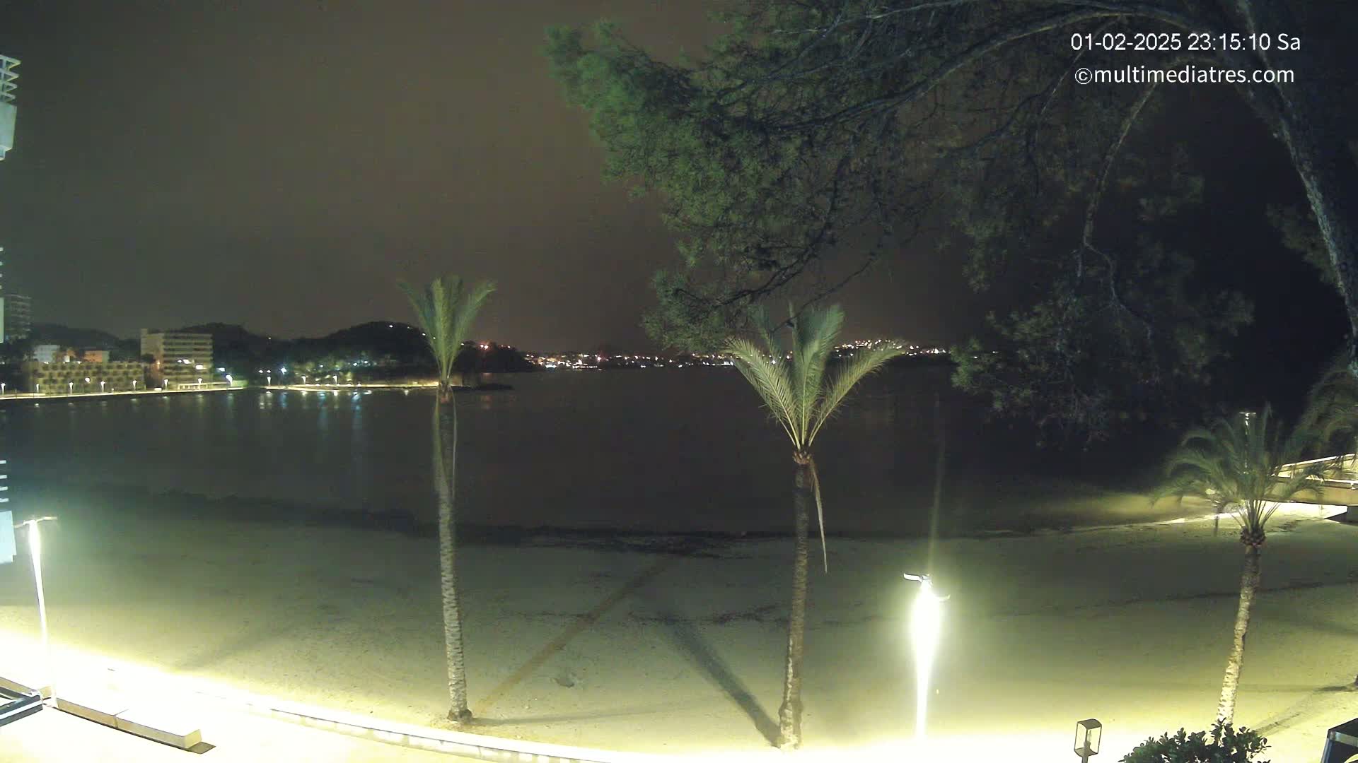 A nighttime view of a sandy beach, calm water, palm trees, and buildings across the water under a dark, clear sky.