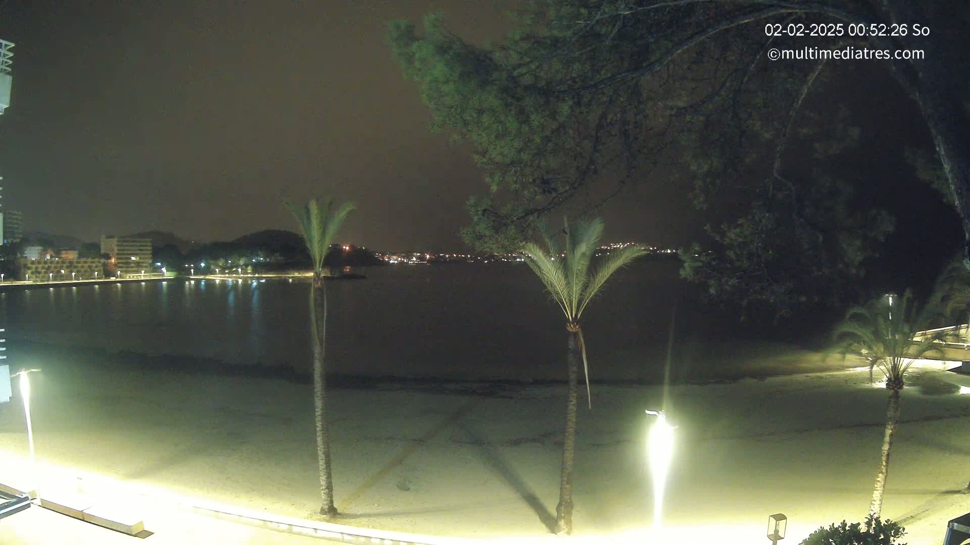 A nighttime view of a sandy beach, palm trees, and a calm body of water with lights illuminating buildings across the water.