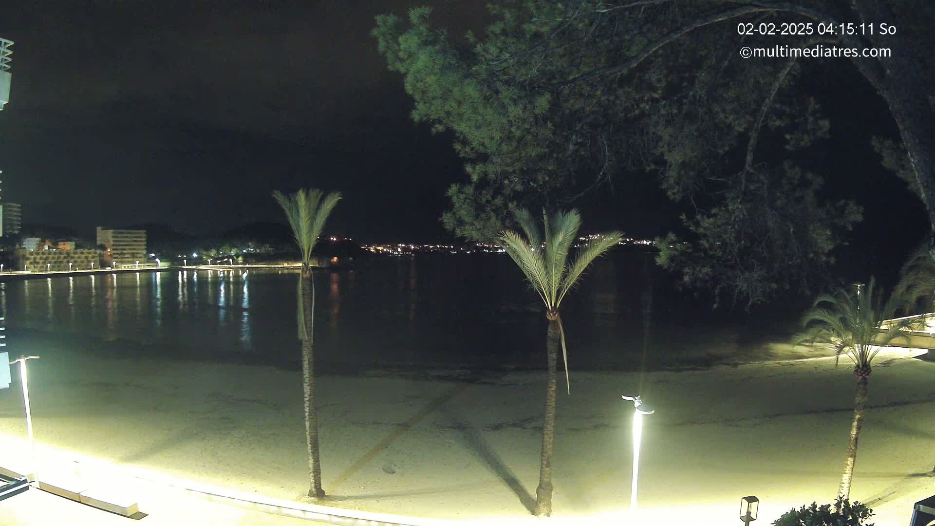 A nighttime view of a sandy beach, calm water, palm trees, and distant buildings illuminated by lights.