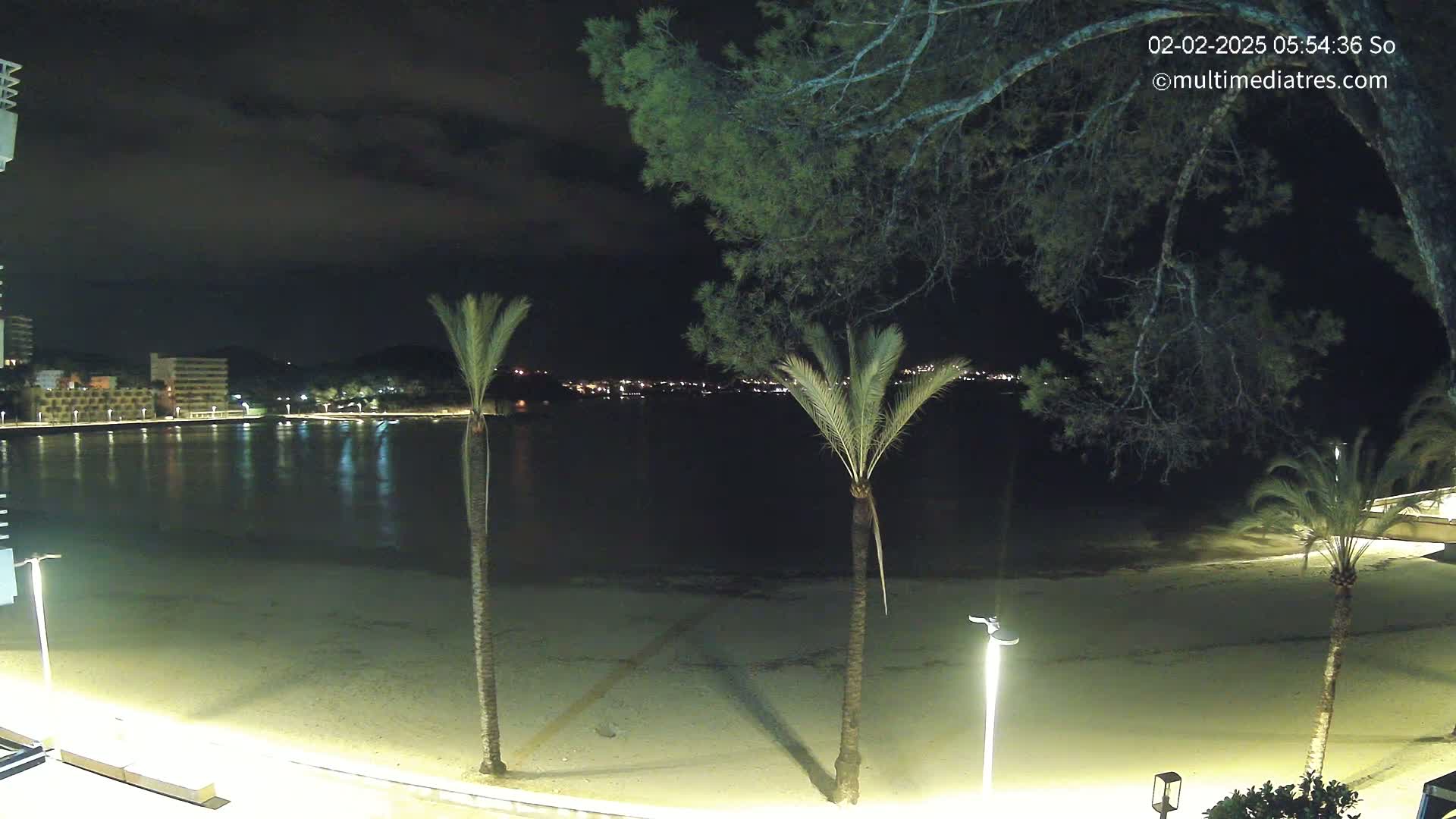 A nighttime view of a calm, sandy beach illuminated by artificial lights, with palm trees in the foreground and a dark, cloudy sky above, overlooking a body of water and distant buildings.