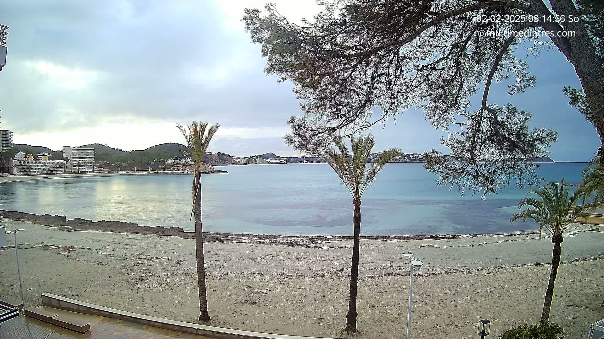 A sandy beach with calm, light-blue water, palm trees, and buildings in the background under a cloudy sky.