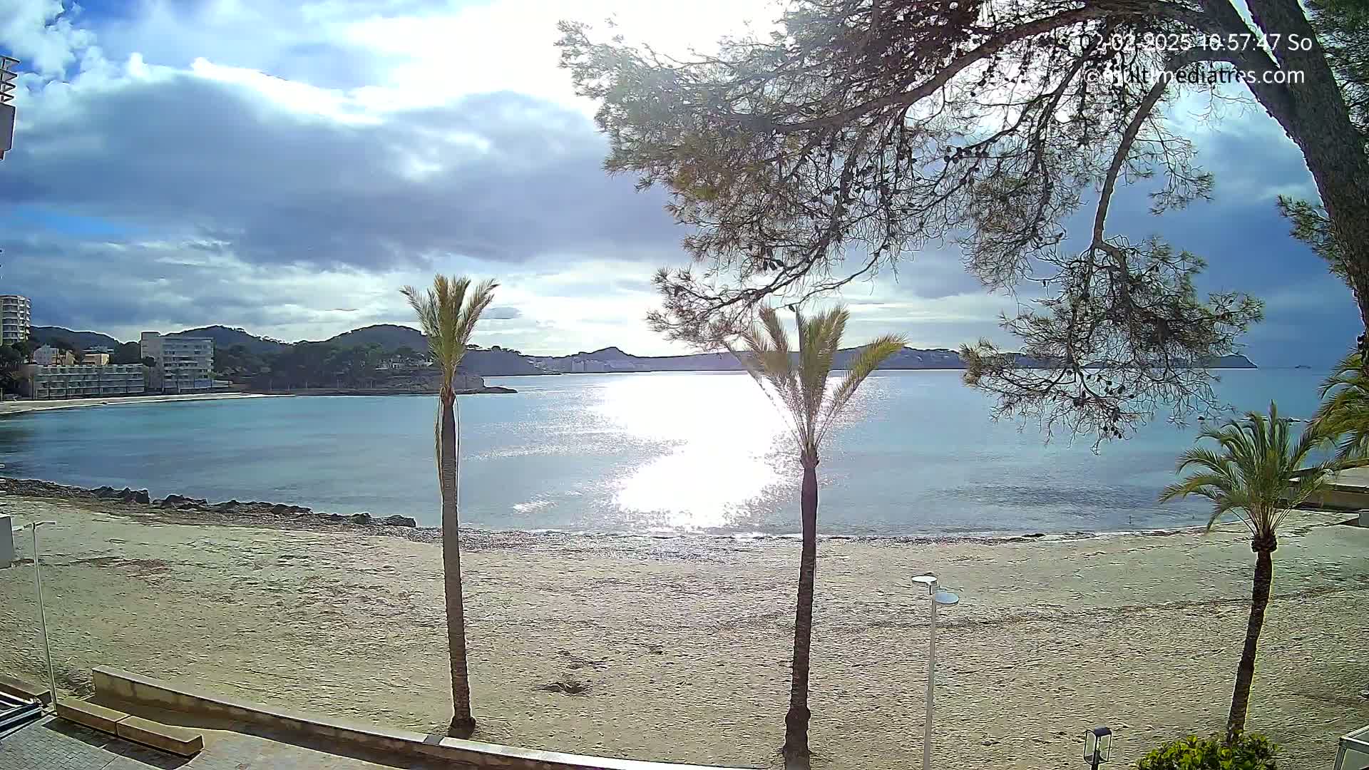 A partly cloudy day shows a sandy beach and calm, sunlit turquoise water, framed by palm trees and pine trees, with buildings visible in the distance.