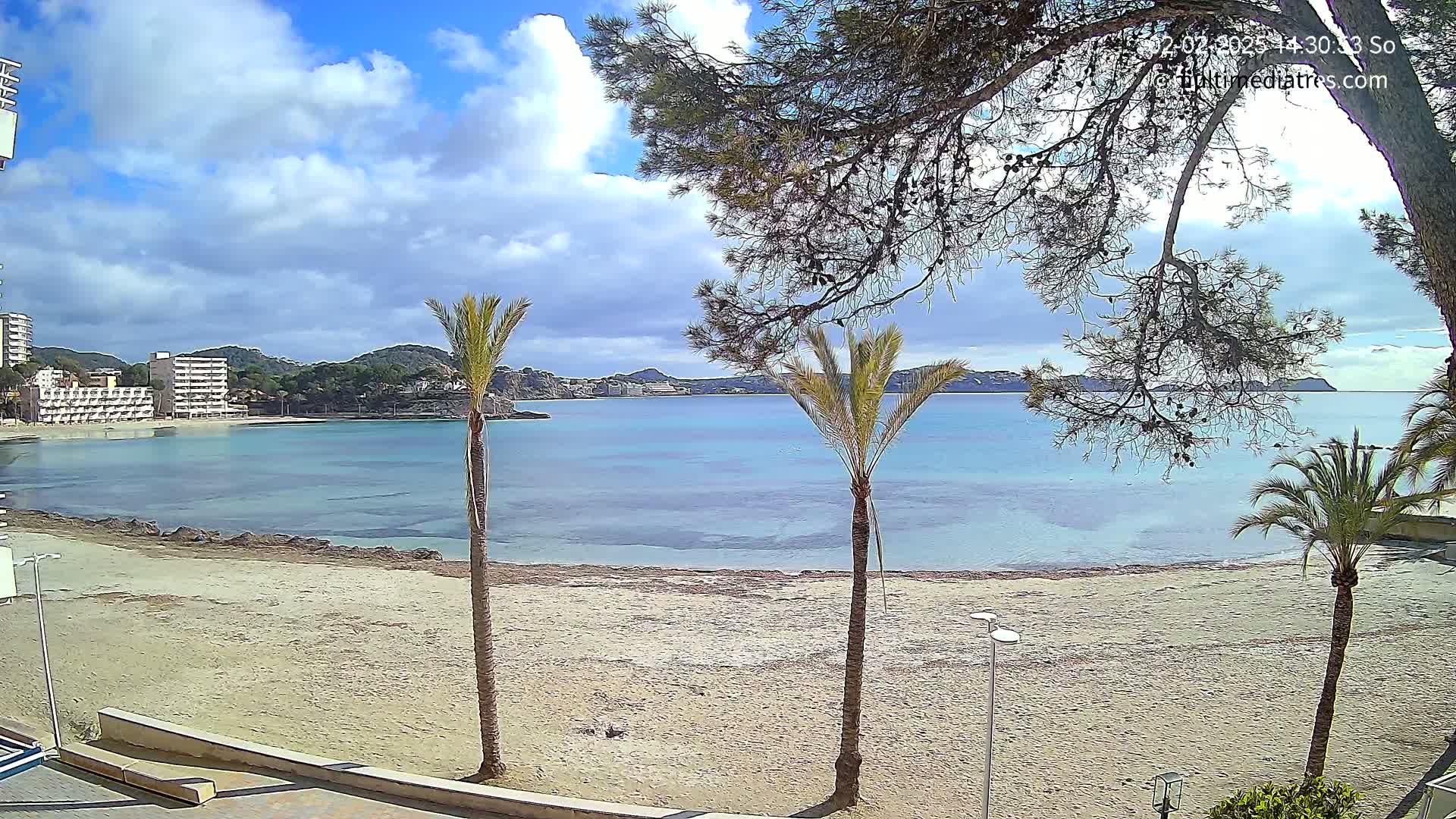 A partly cloudy day reveals a sandy beach, calm turquoise water, and hotels along the coastline, framed by palm trees and a pine tree.